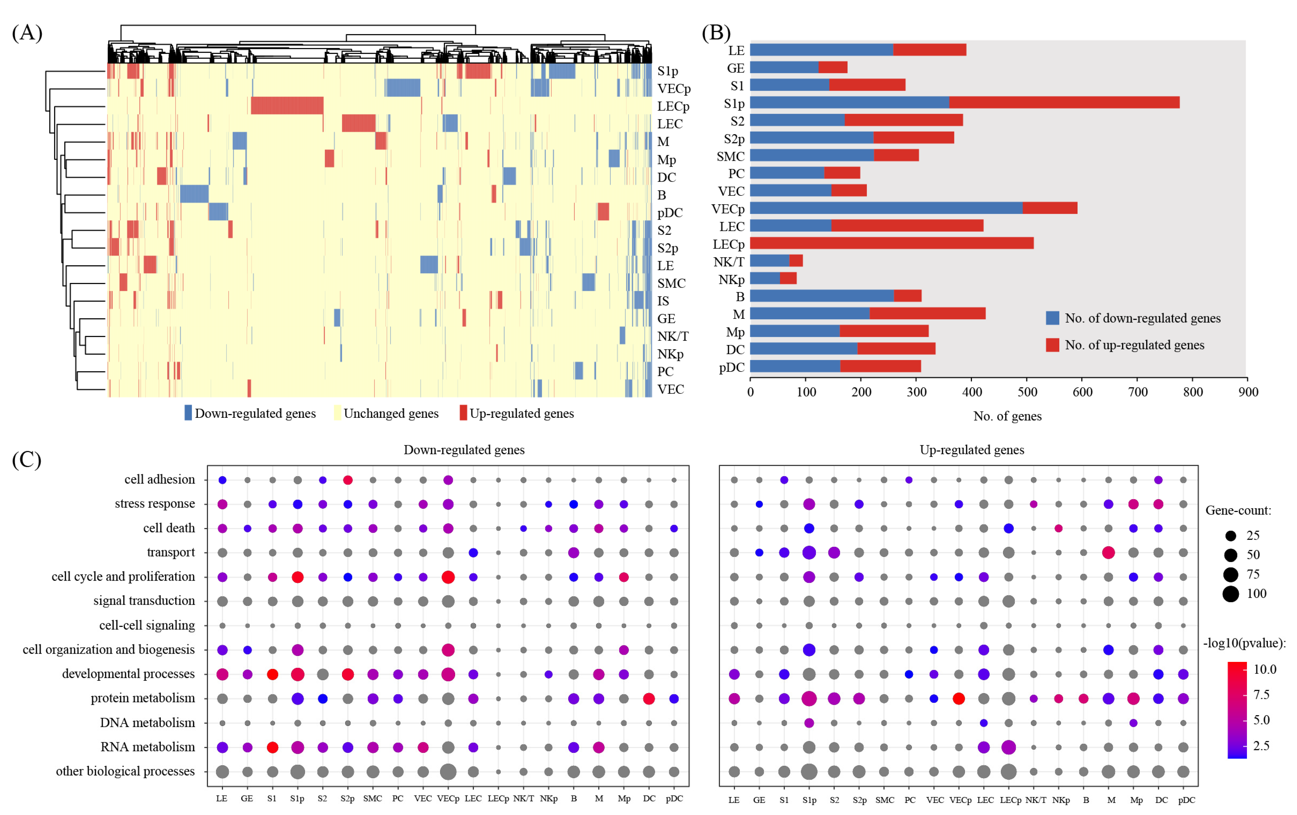 Ijms 22 05177 g003 Ijms 22 05177 g003