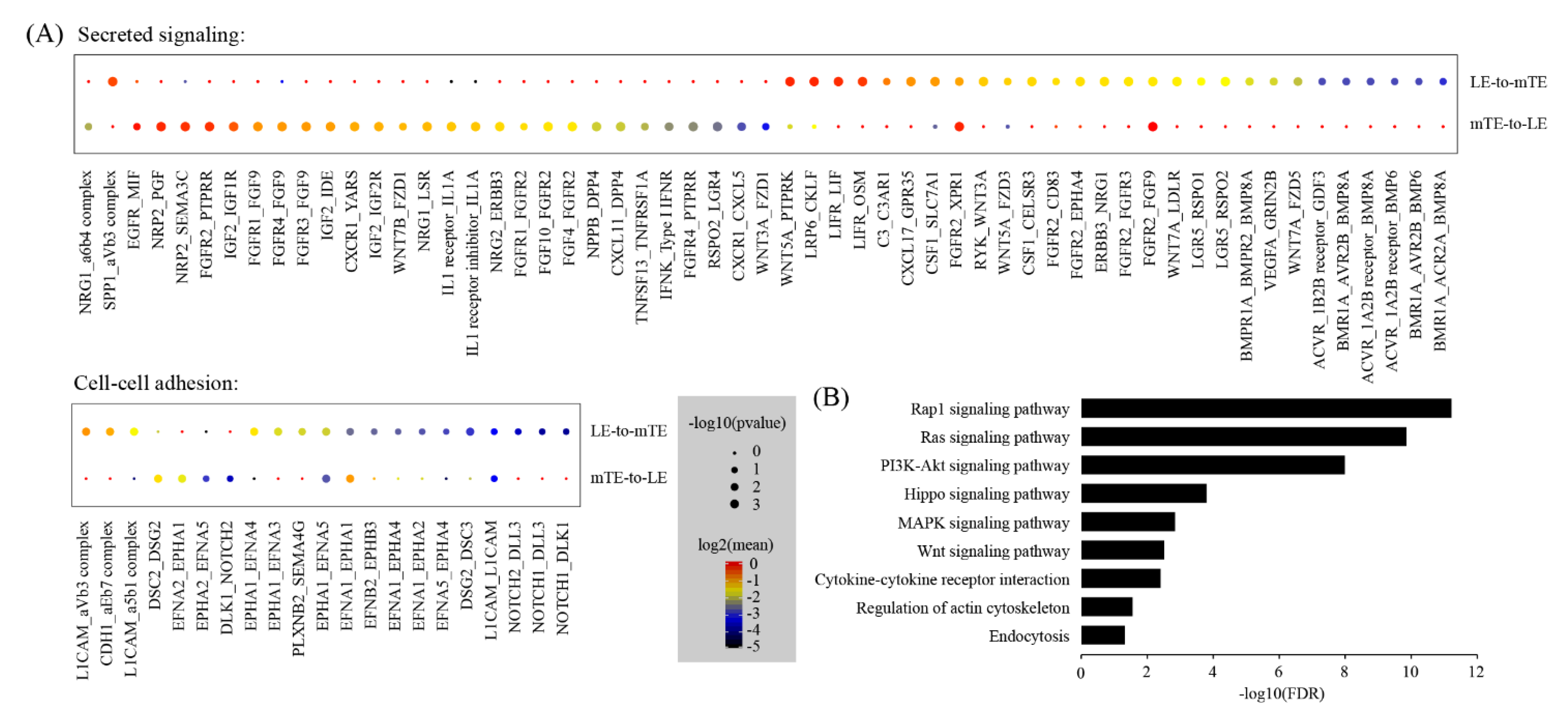 Ijms 22 05177 g005 Ijms 22 05177 g005