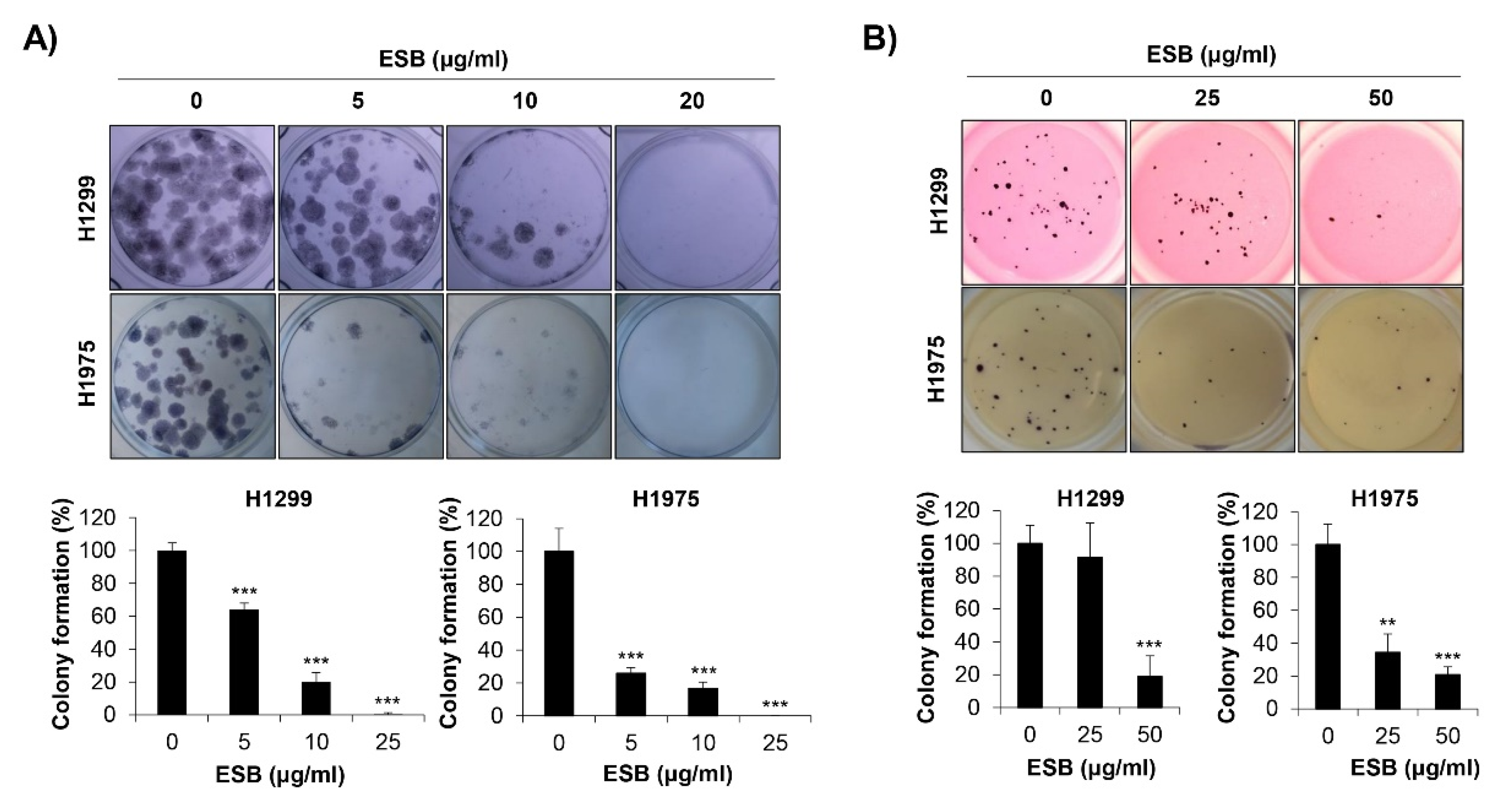 Ijms 22 05181 g004 Ijms 22 05181 g004