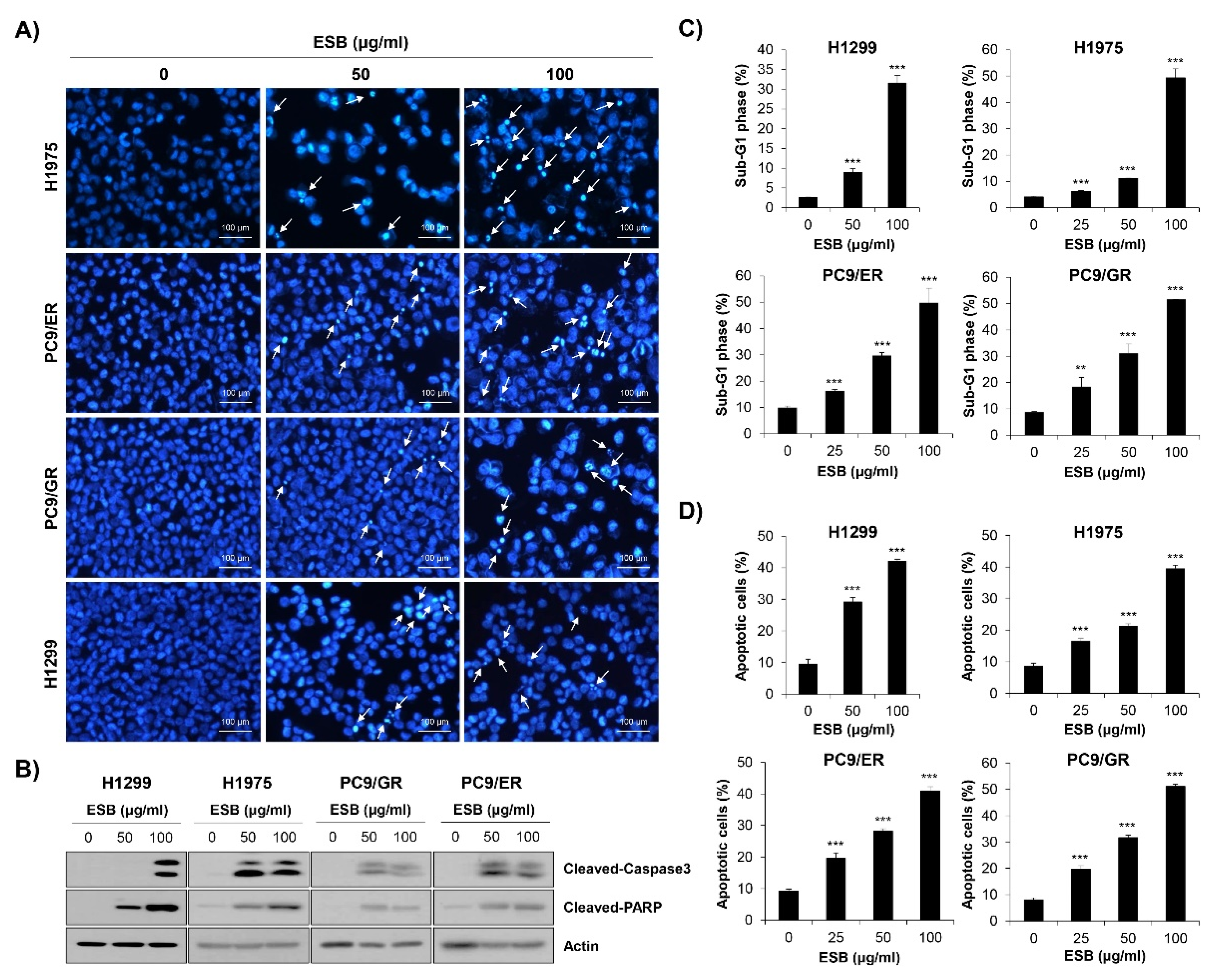 Ijms 22 05181 g005 Ijms 22 05181 g005