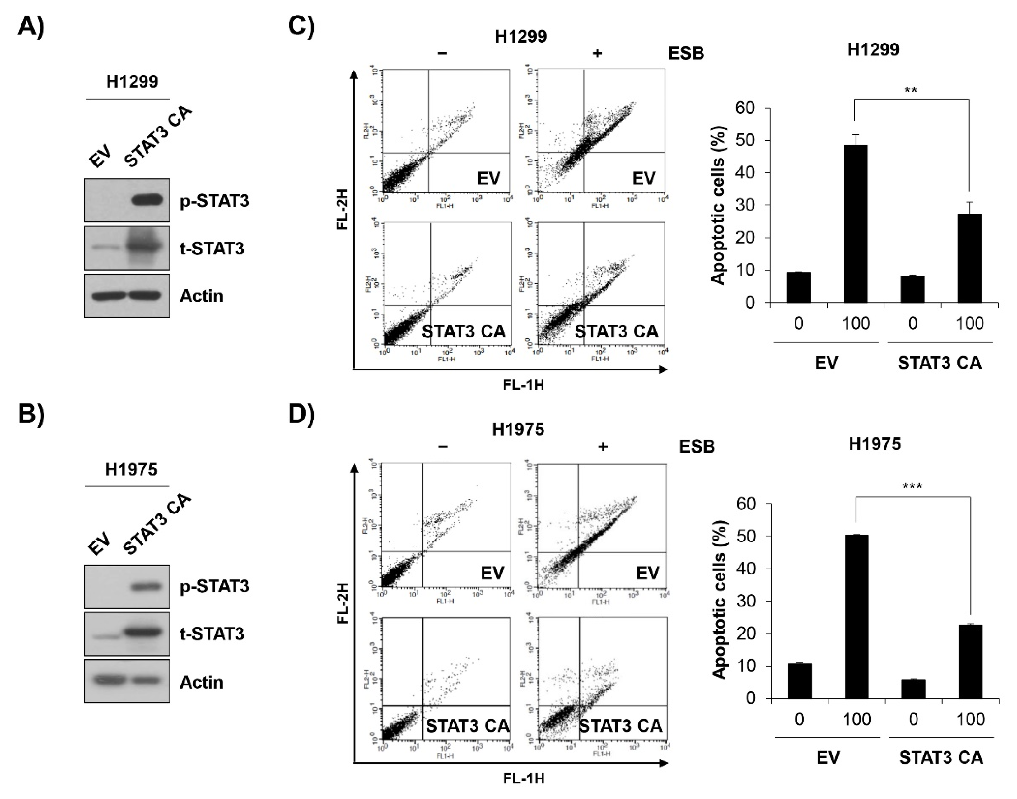 Ijms 22 05181 g007 Ijms 22 05181 g007