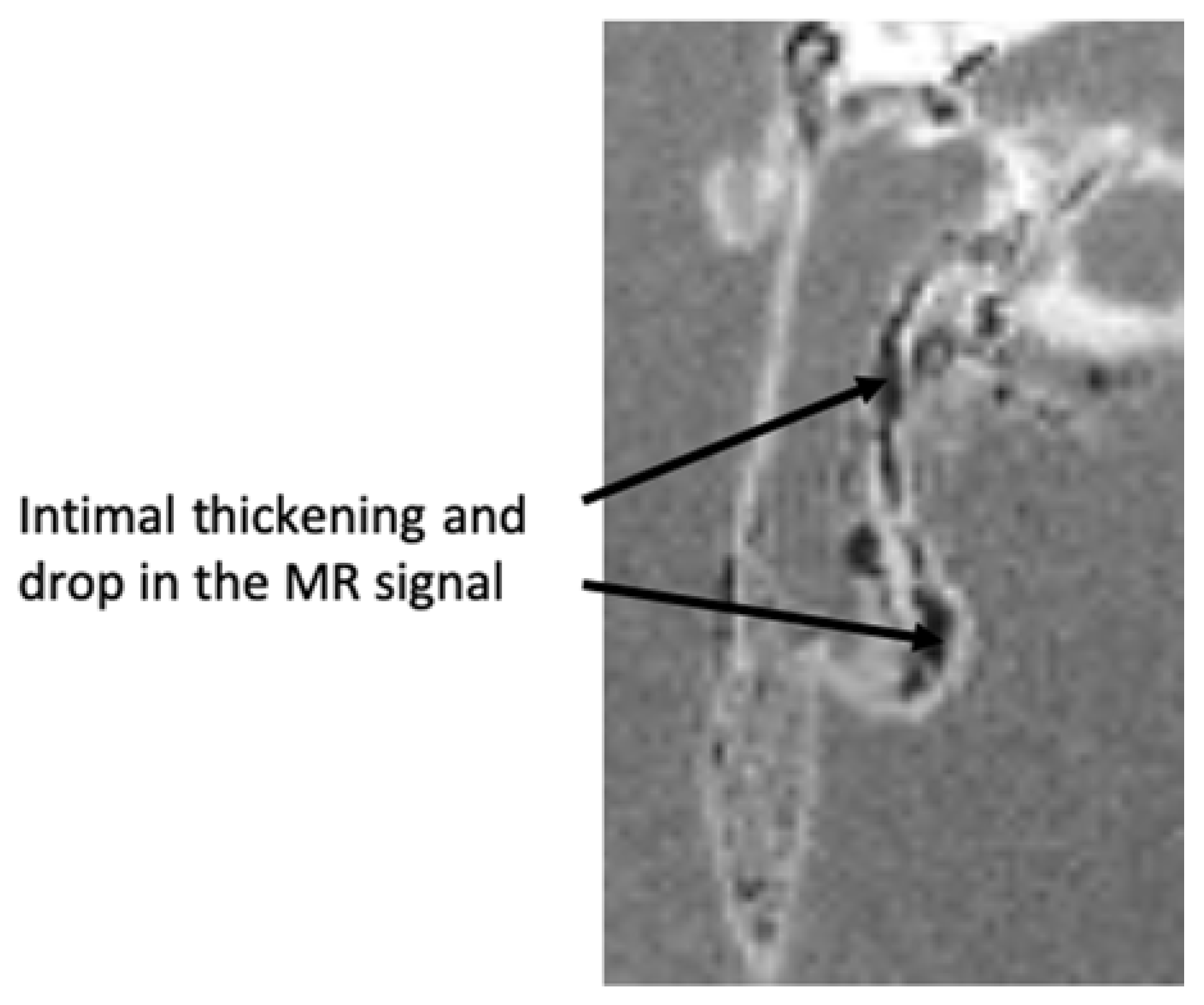 Ijms 22 05188 g005 Ijms 22 05188 g005