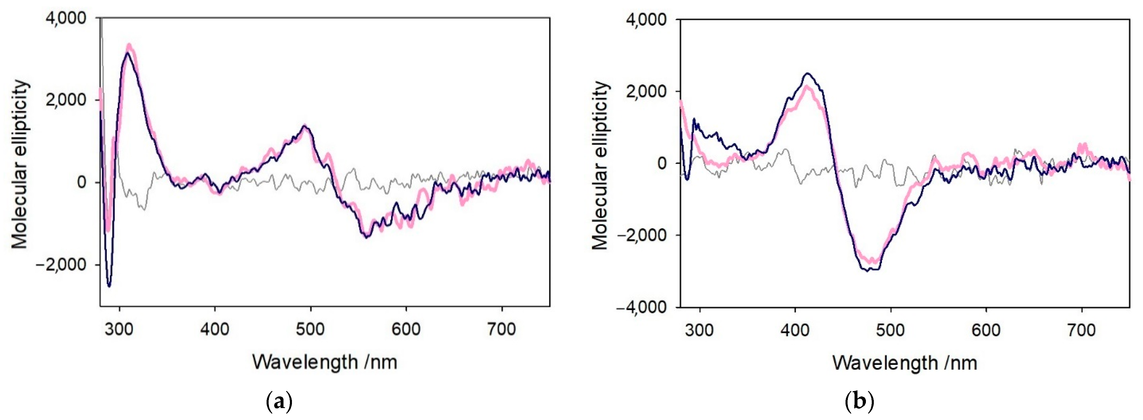 Ijms 22 05190 g010 Ijms 22 05190 g010