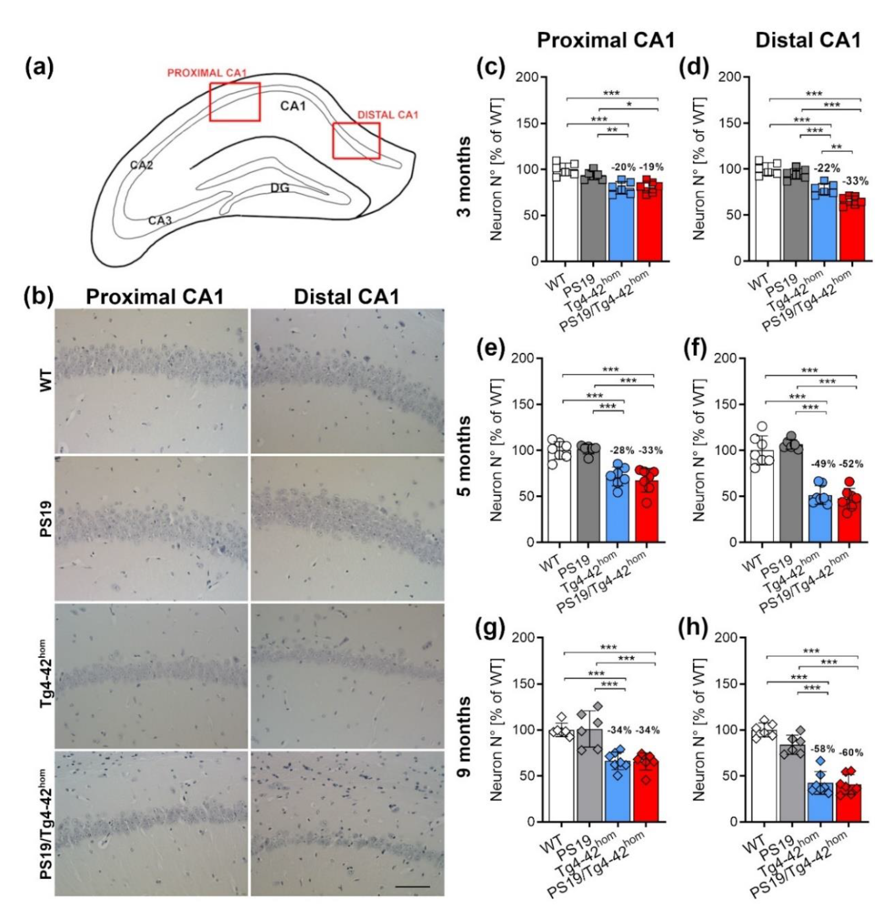 Ijms 22 05191 g004 Ijms 22 05191 g004