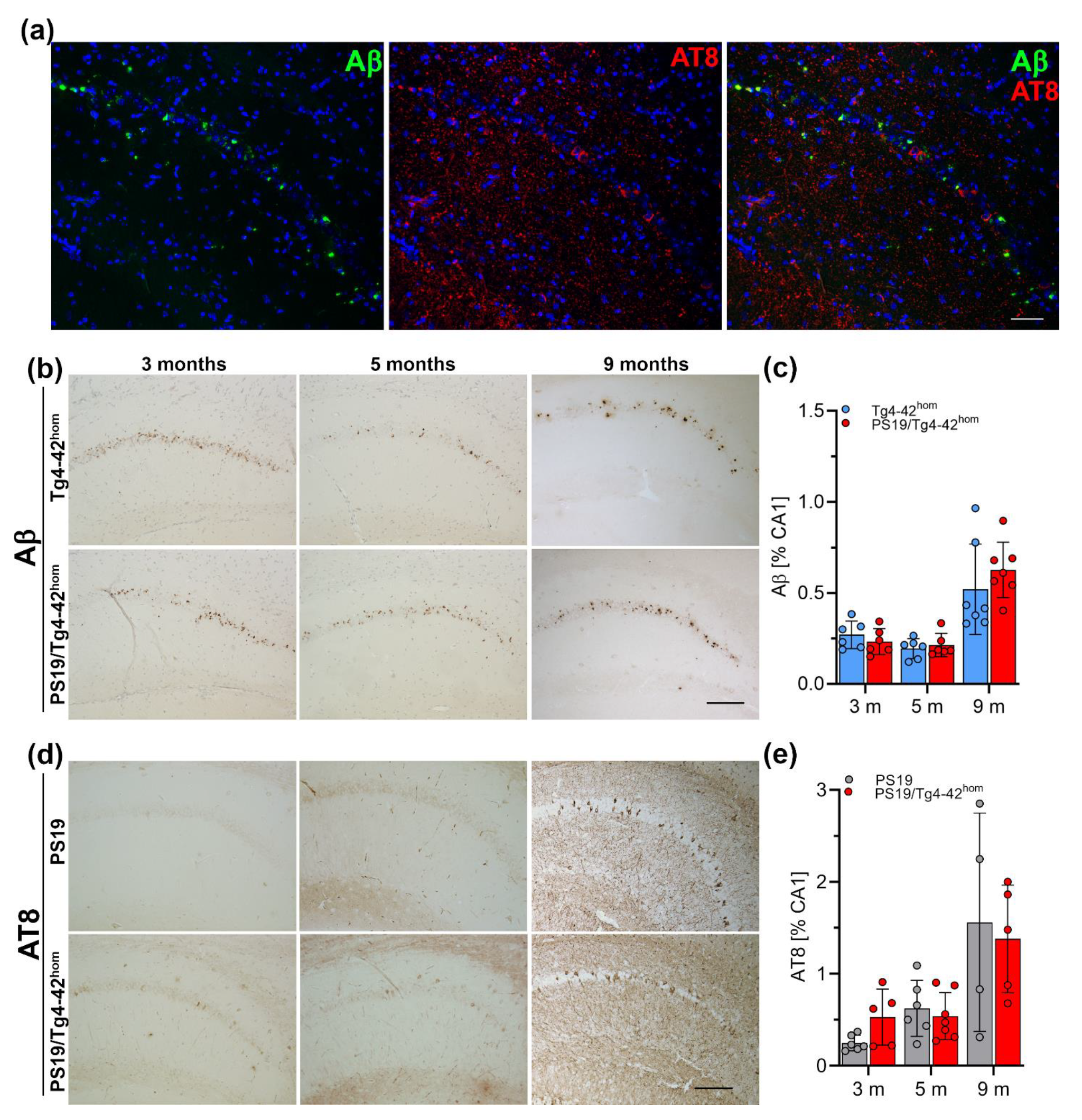 Ijms 22 05191 g005 Ijms 22 05191 g005