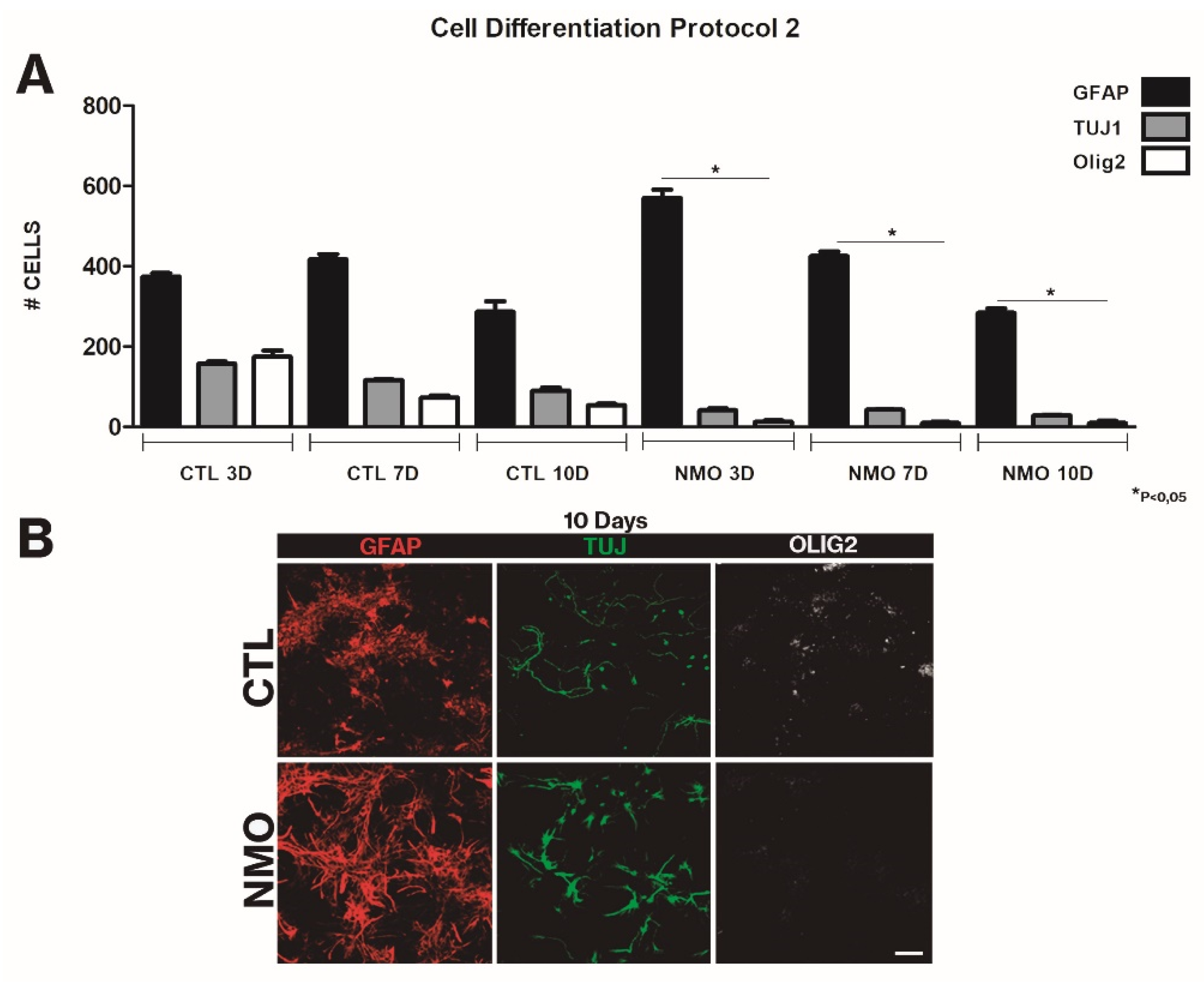 Ijms 22 05192 g004 Ijms 22 05192 g004
