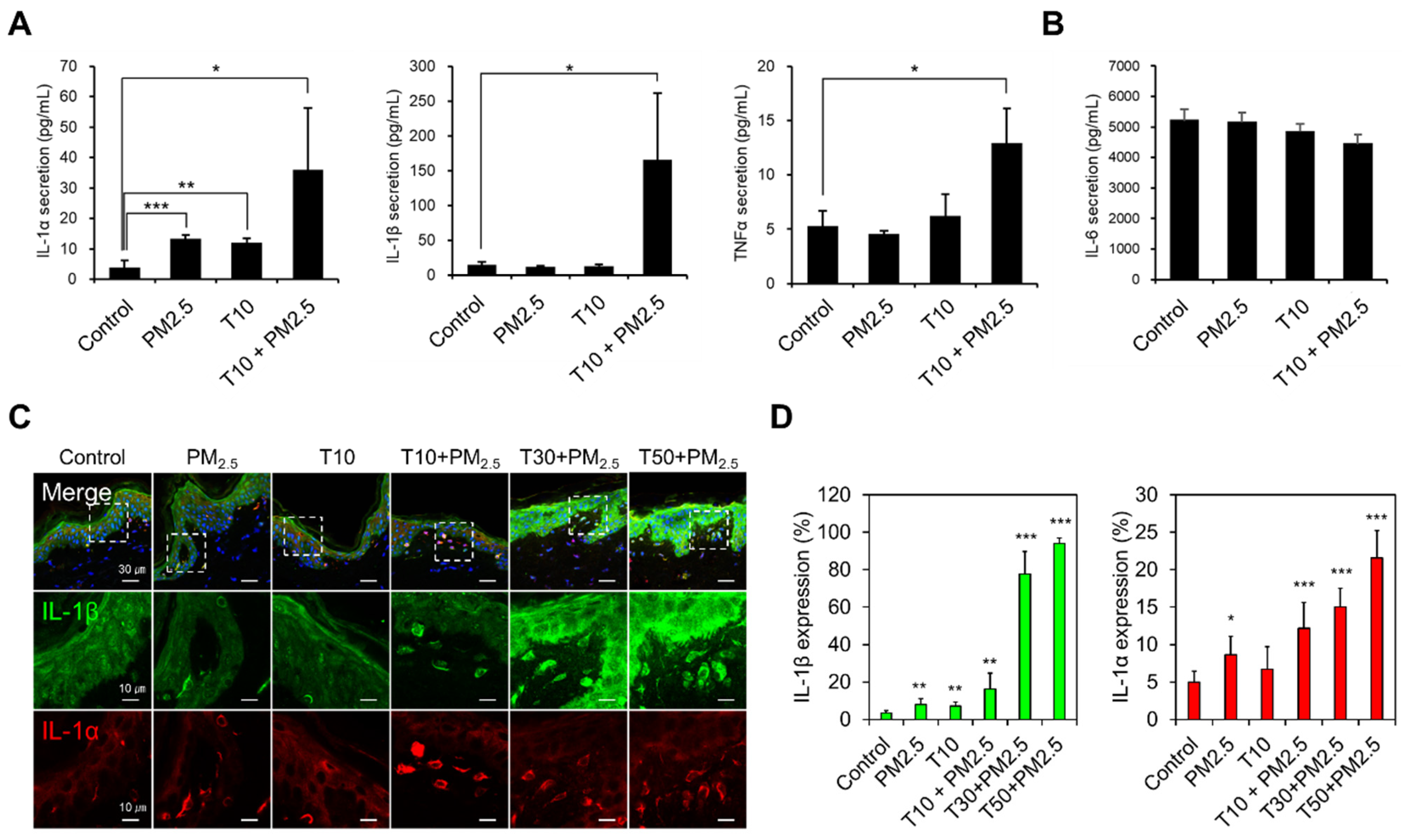 Ijms 22 05199 g005 Ijms 22 05199 g005