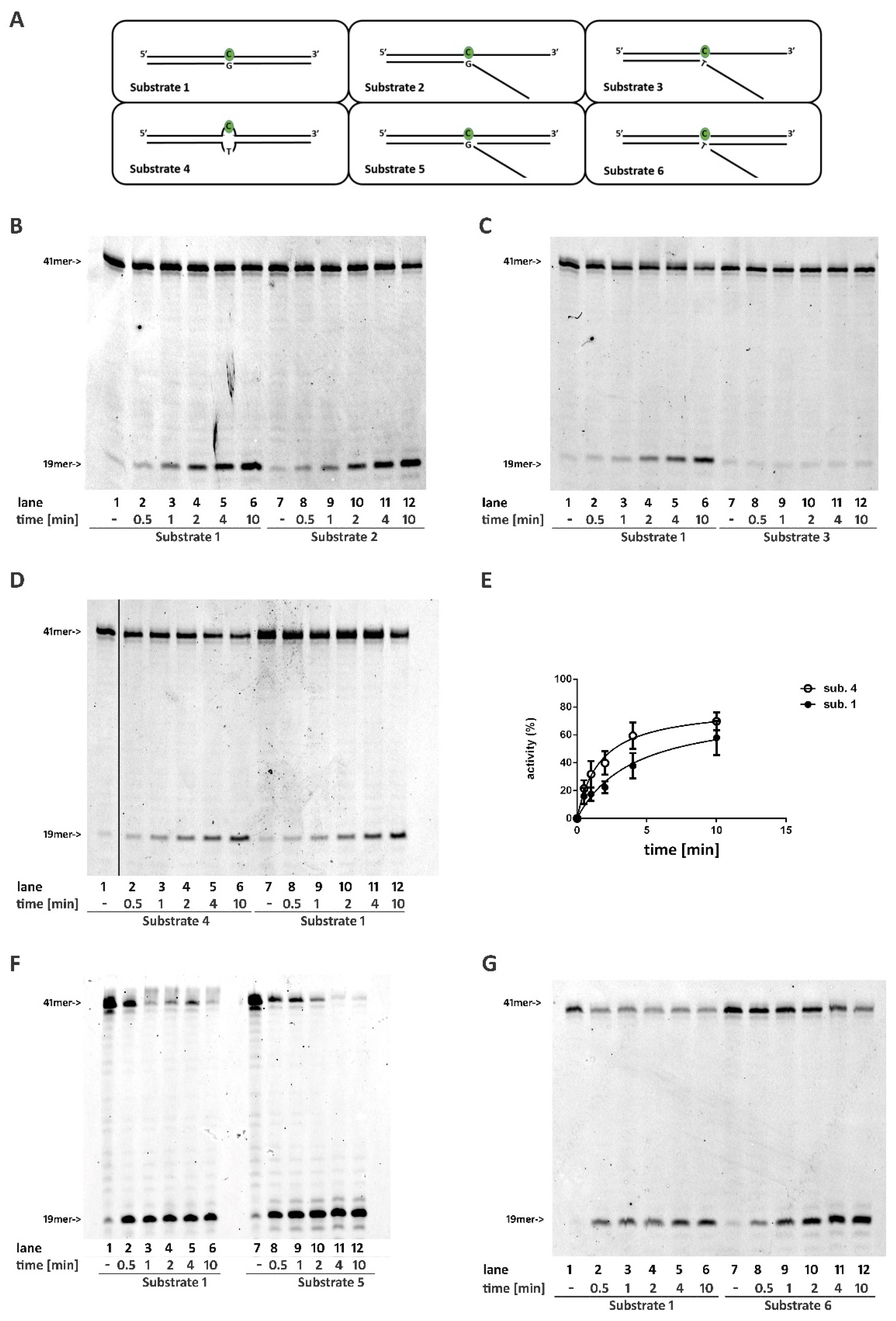 Ijms 22 05201 g001 Ijms 22 05201 g001