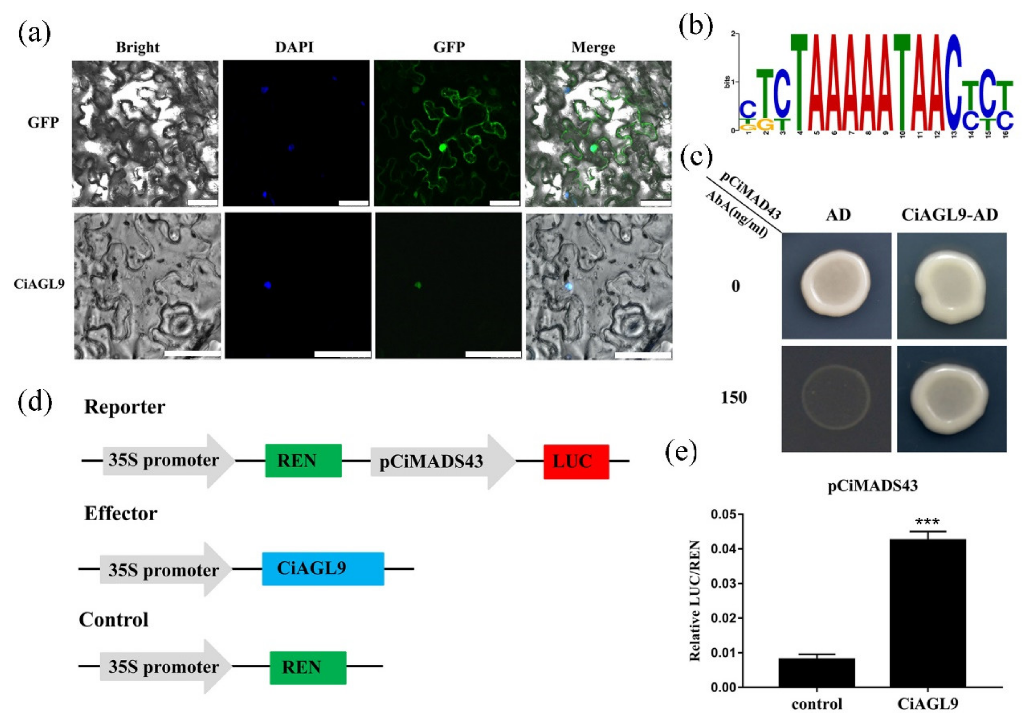 Ijms 22 05205 g006 Ijms 22 05205 g006