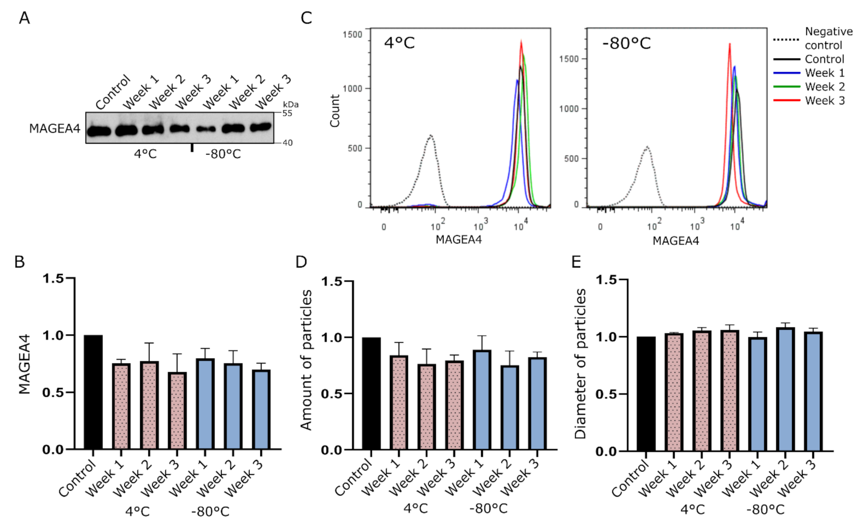 Ijms 22 05208 g001 Ijms 22 05208 g001