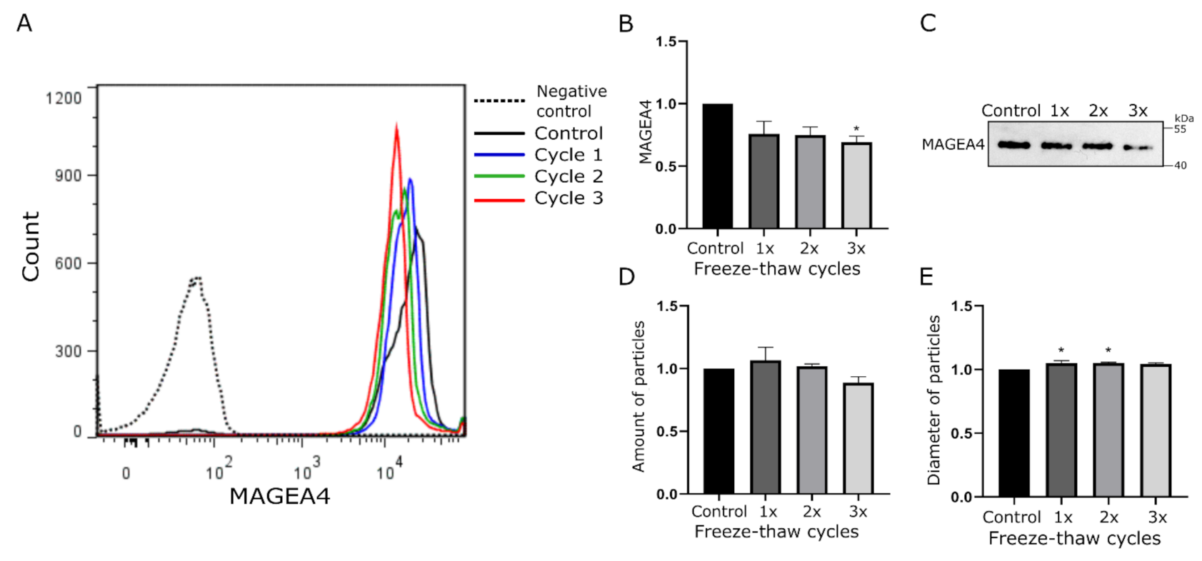 Ijms 22 05208 g002 Ijms 22 05208 g002