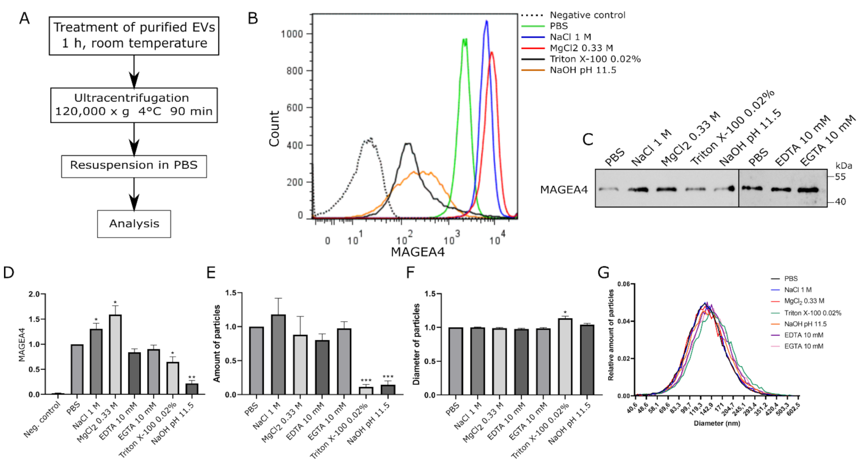 Ijms 22 05208 g003 Ijms 22 05208 g003