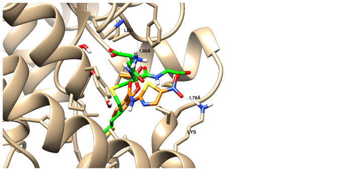 Ijms 22 05213 i003 Ijms 22 05213 i003