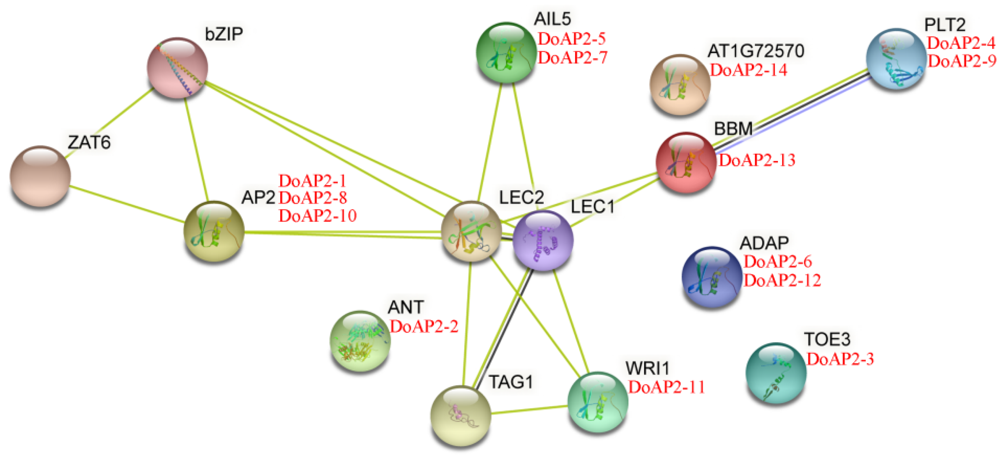 Ijms 22 05221 g002 Ijms 22 05221 g002