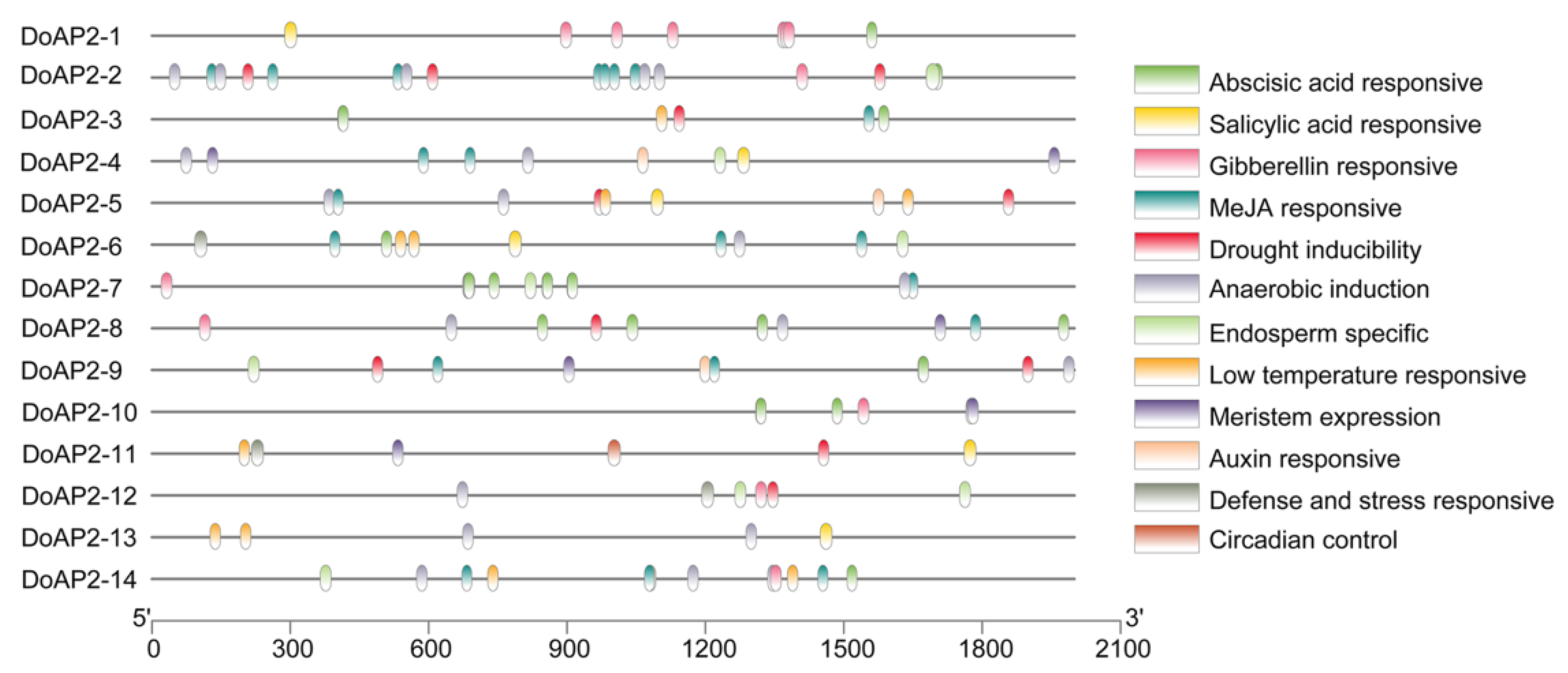 Ijms 22 05221 g003 Ijms 22 05221 g003