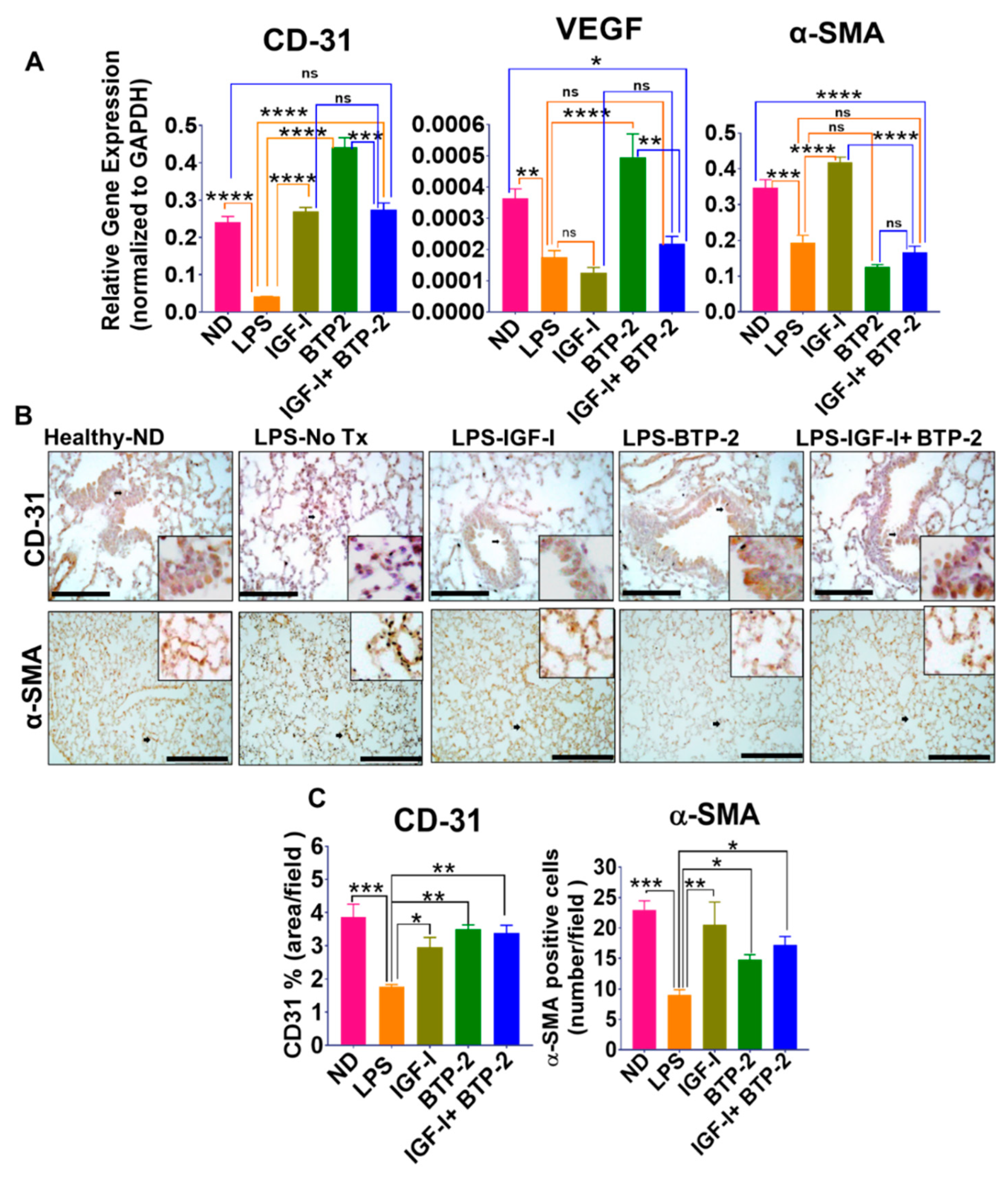Ijms 22 05244 g004 Ijms 22 05244 g004
