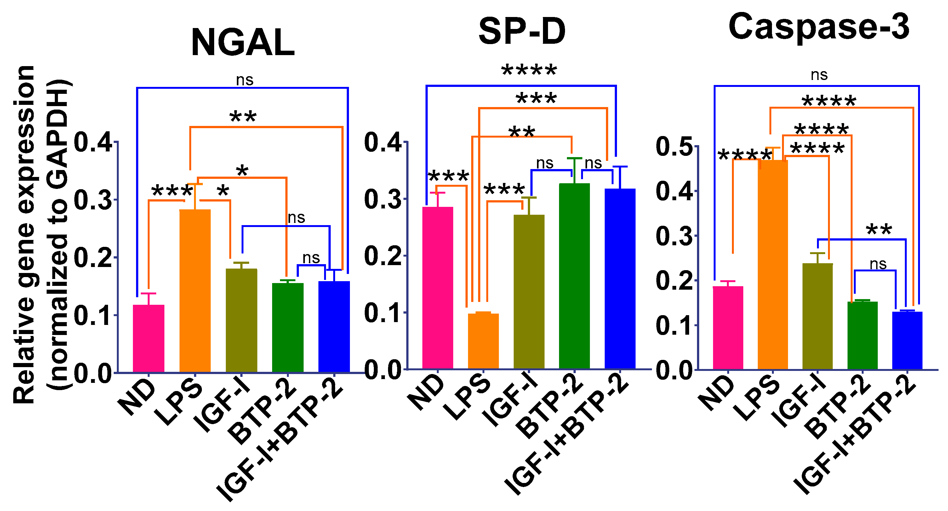 Ijms 22 05244 g005 Ijms 22 05244 g005