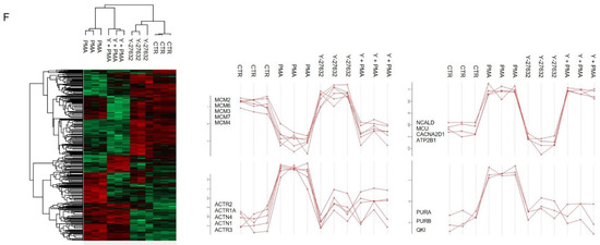 Protein Kinase C Activation Drives a Differentiation Program in an ...