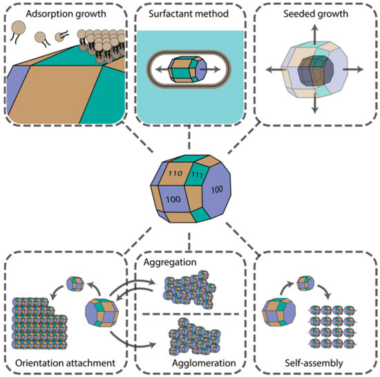 Nanomaterial Shape Influence on Cell Behavior