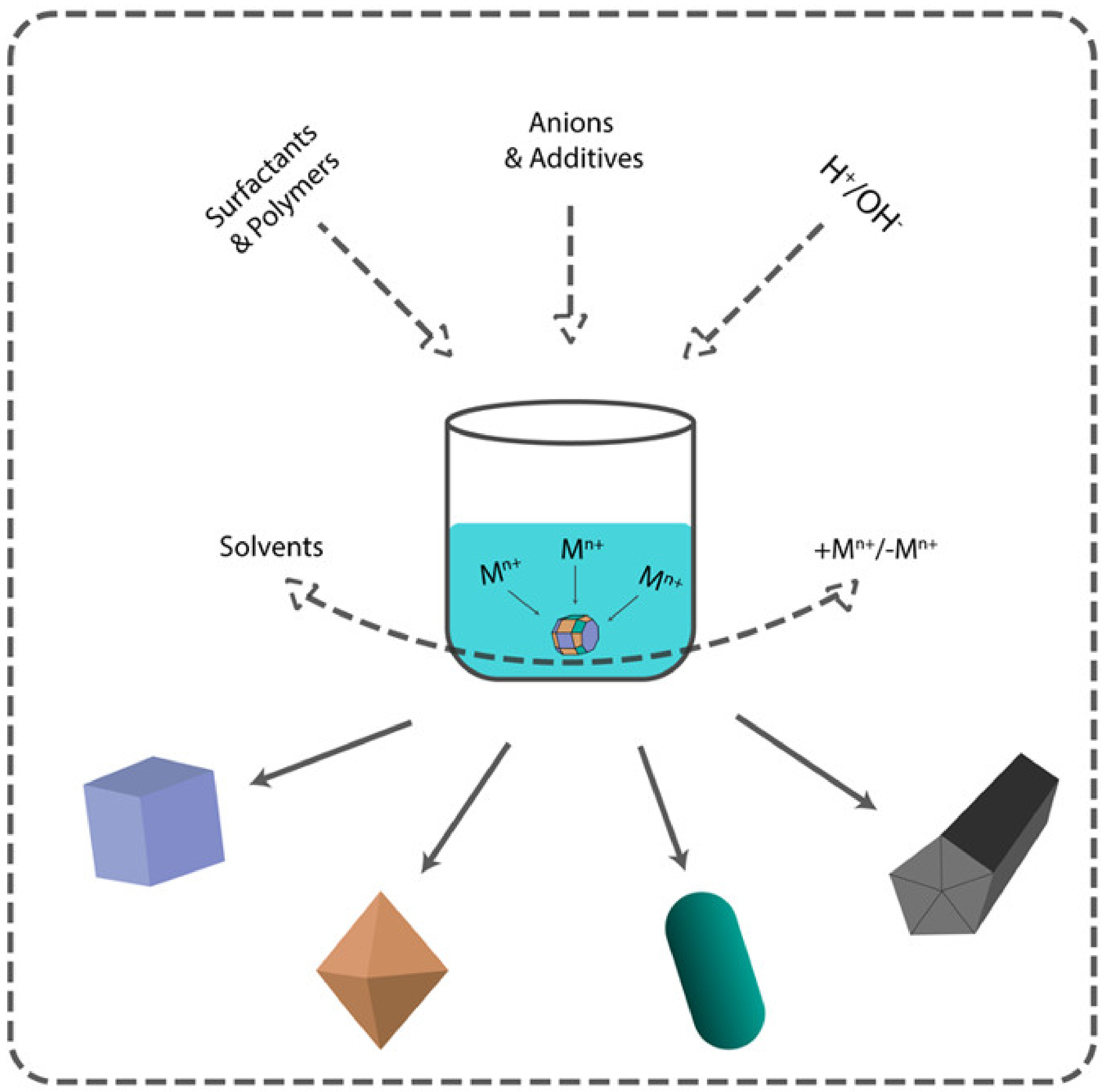 IJMS | Free Full-Text | Nanomaterial Shape Influence on Cell Behavior