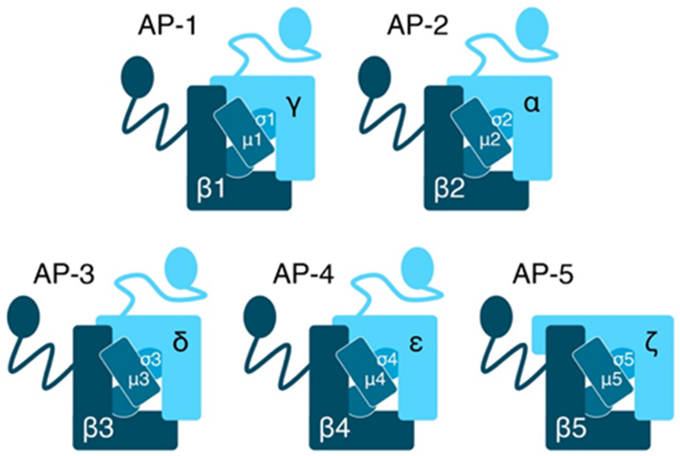 Ijms 22 05274 g001 Ijms 22 05274 g001