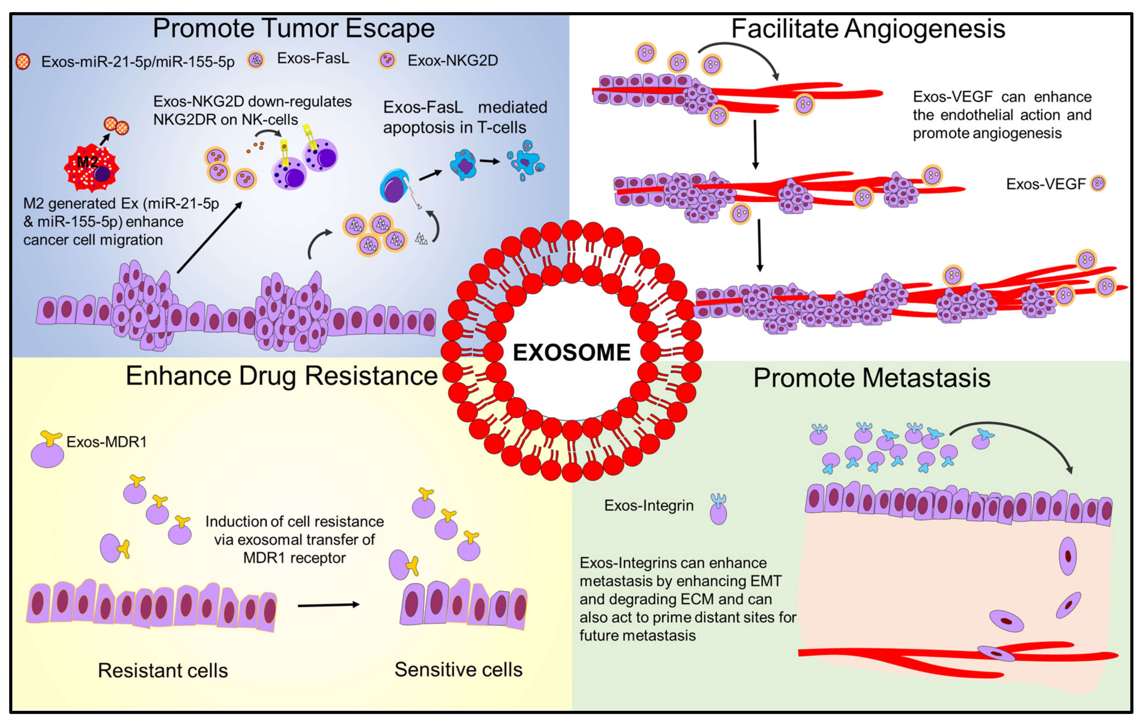 Ijms 22 05278 g001 Ijms 22 05278 g001