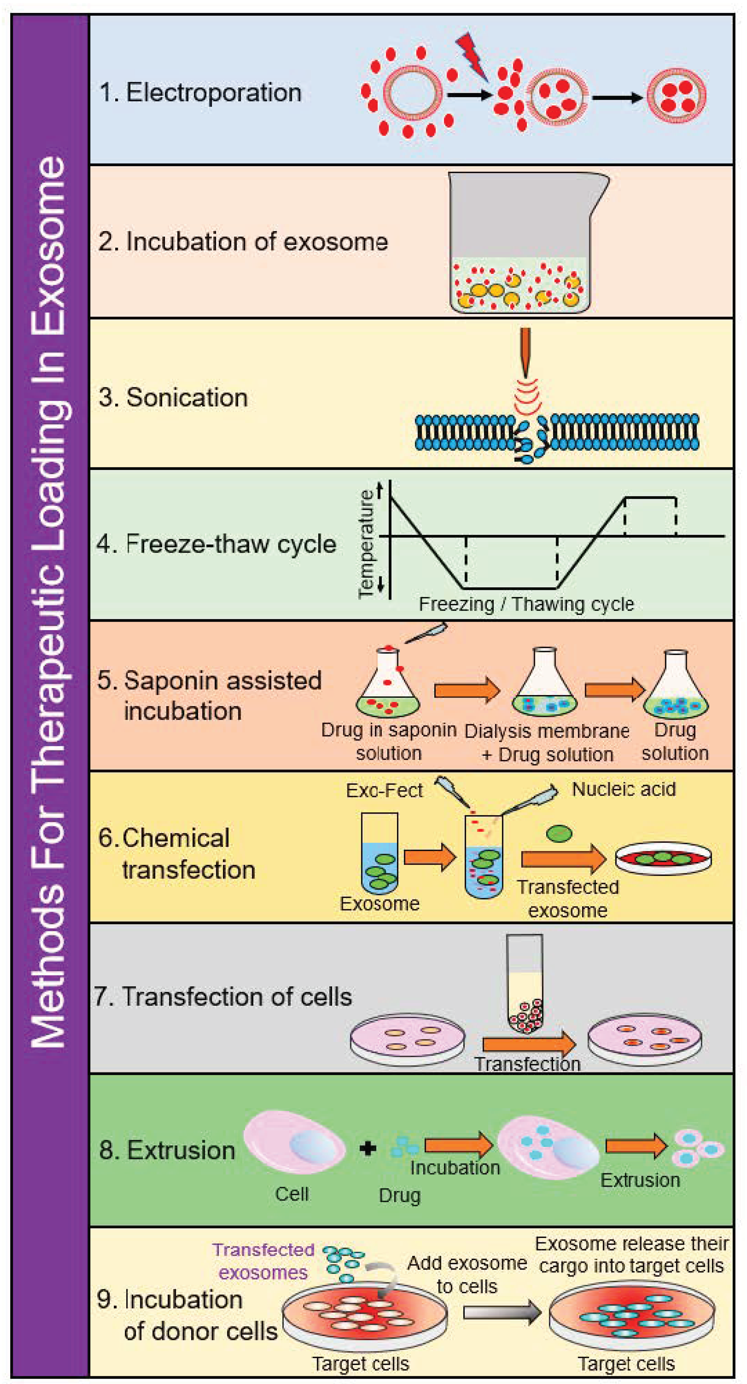 Ijms 22 05278 g003 Ijms 22 05278 g003