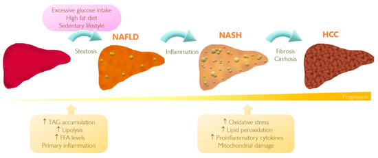 Understanding the Role of Perilipin 5 in Non-Alcoholic Fatty Liver ...
