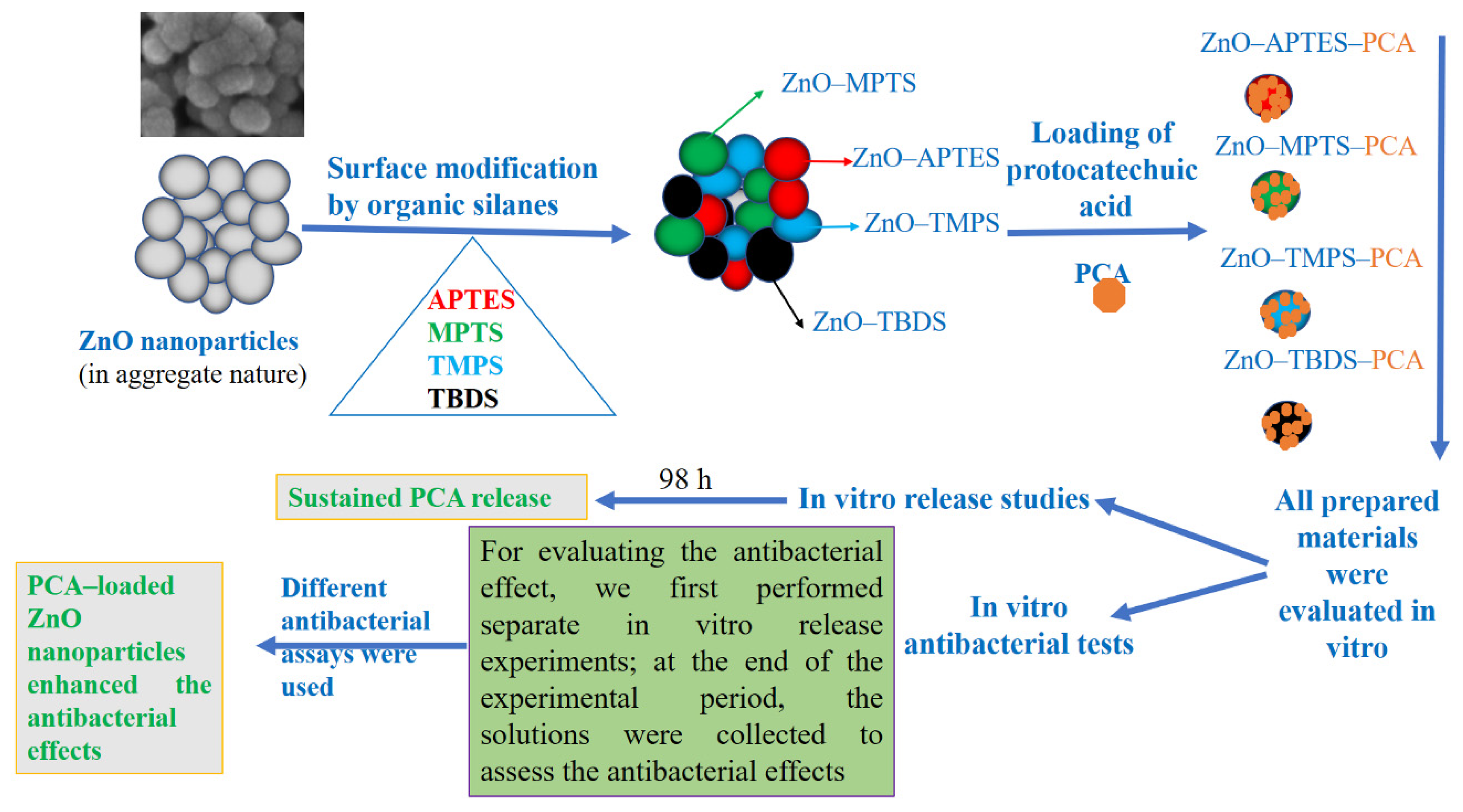 Ijms 22 05287 sch001