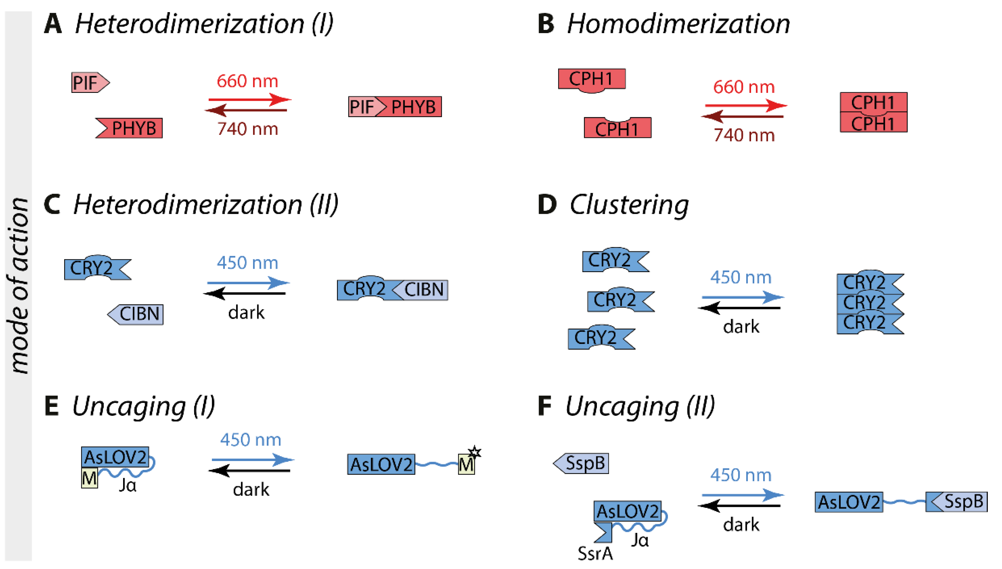 Ijms 22 05300 g001 Ijms 22 05300 g001