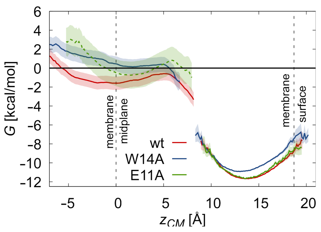 Ijms 22 05301 g003 Ijms 22 05301 g003