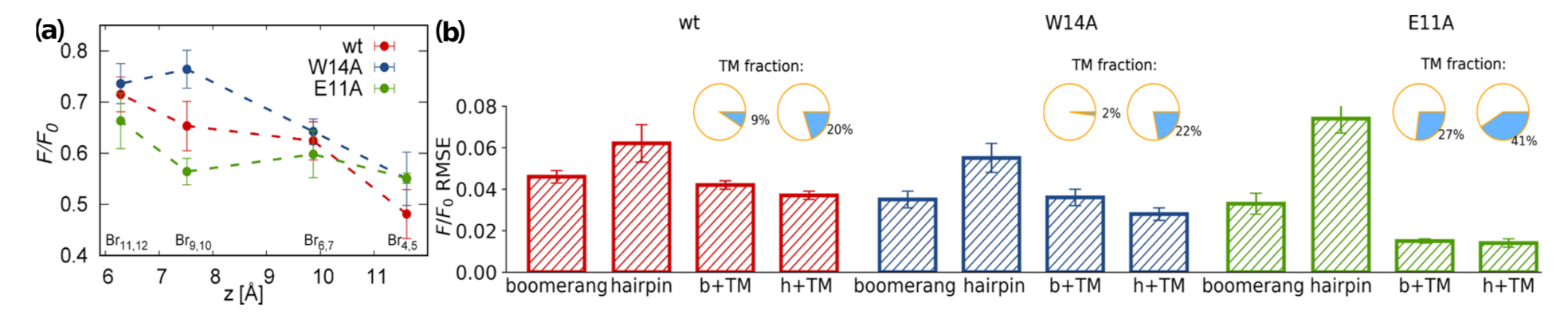 Ijms 22 05301 g005 Ijms 22 05301 g005