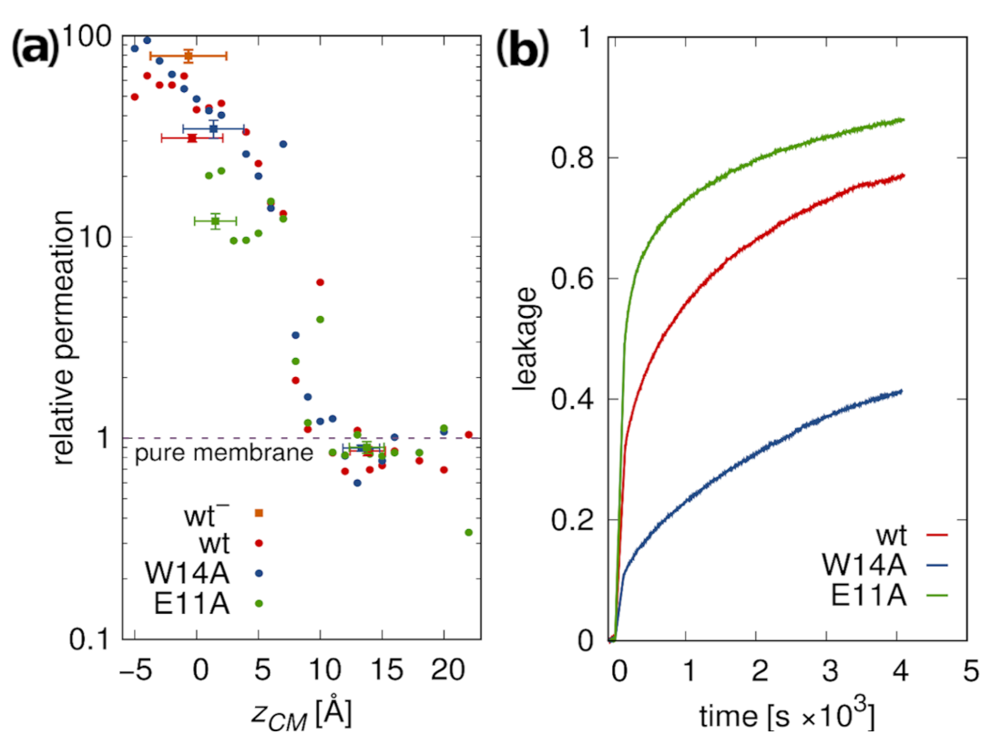 Ijms 22 05301 g007 Ijms 22 05301 g007