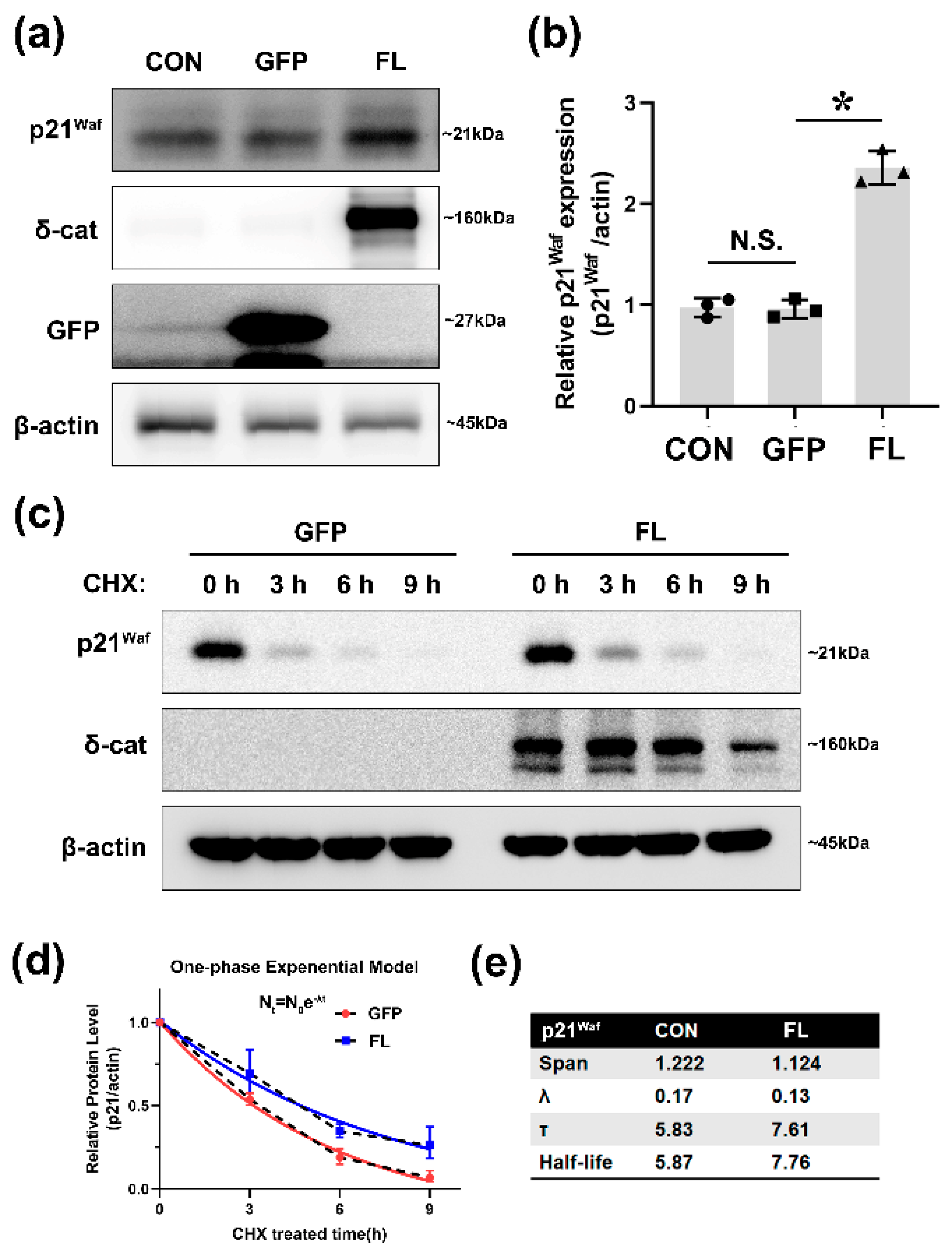 Ijms 22 05306 g001 Ijms 22 05306 g001