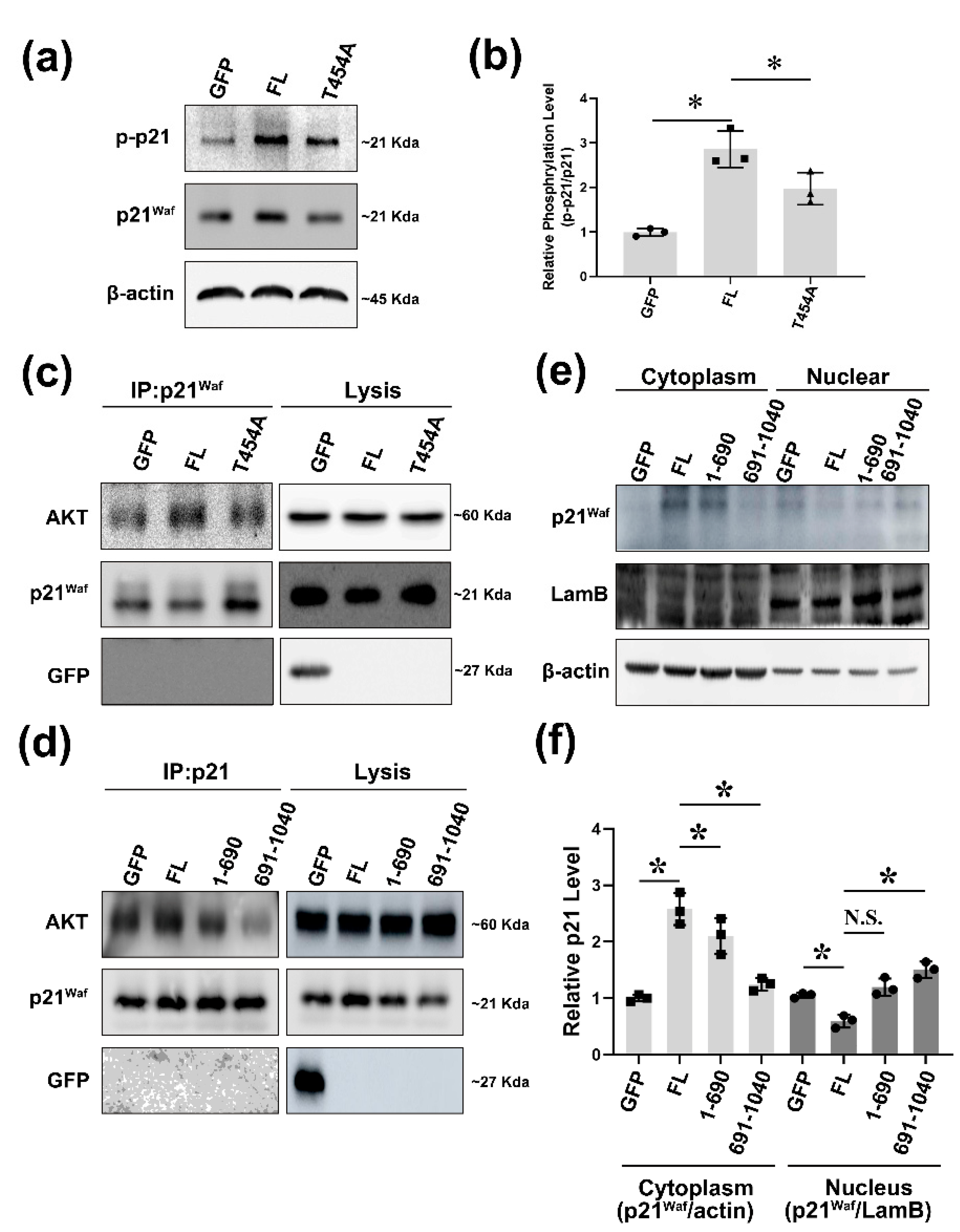 Ijms 22 05306 g003 Ijms 22 05306 g003