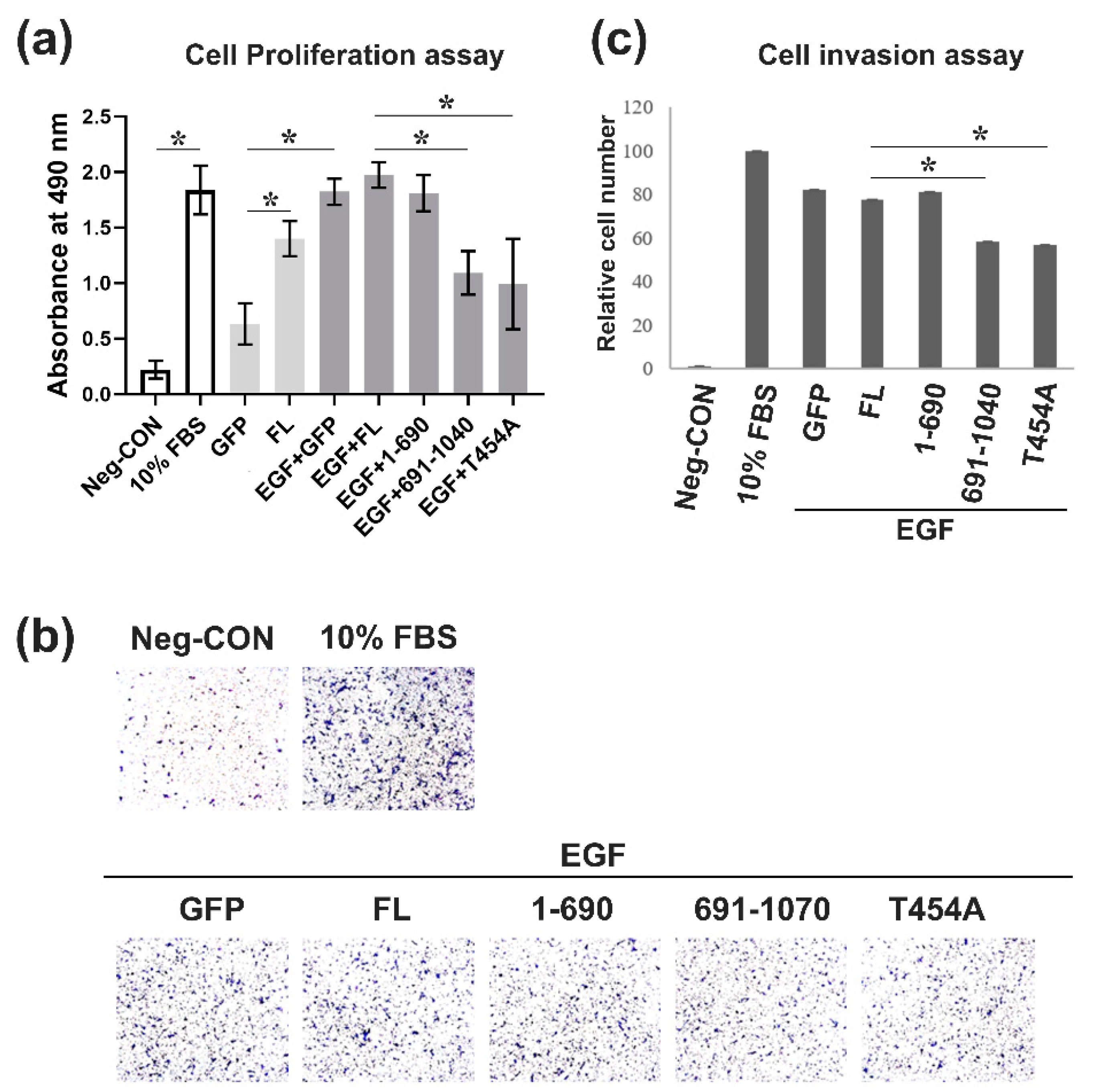 Ijms 22 05306 g005 Ijms 22 05306 g005