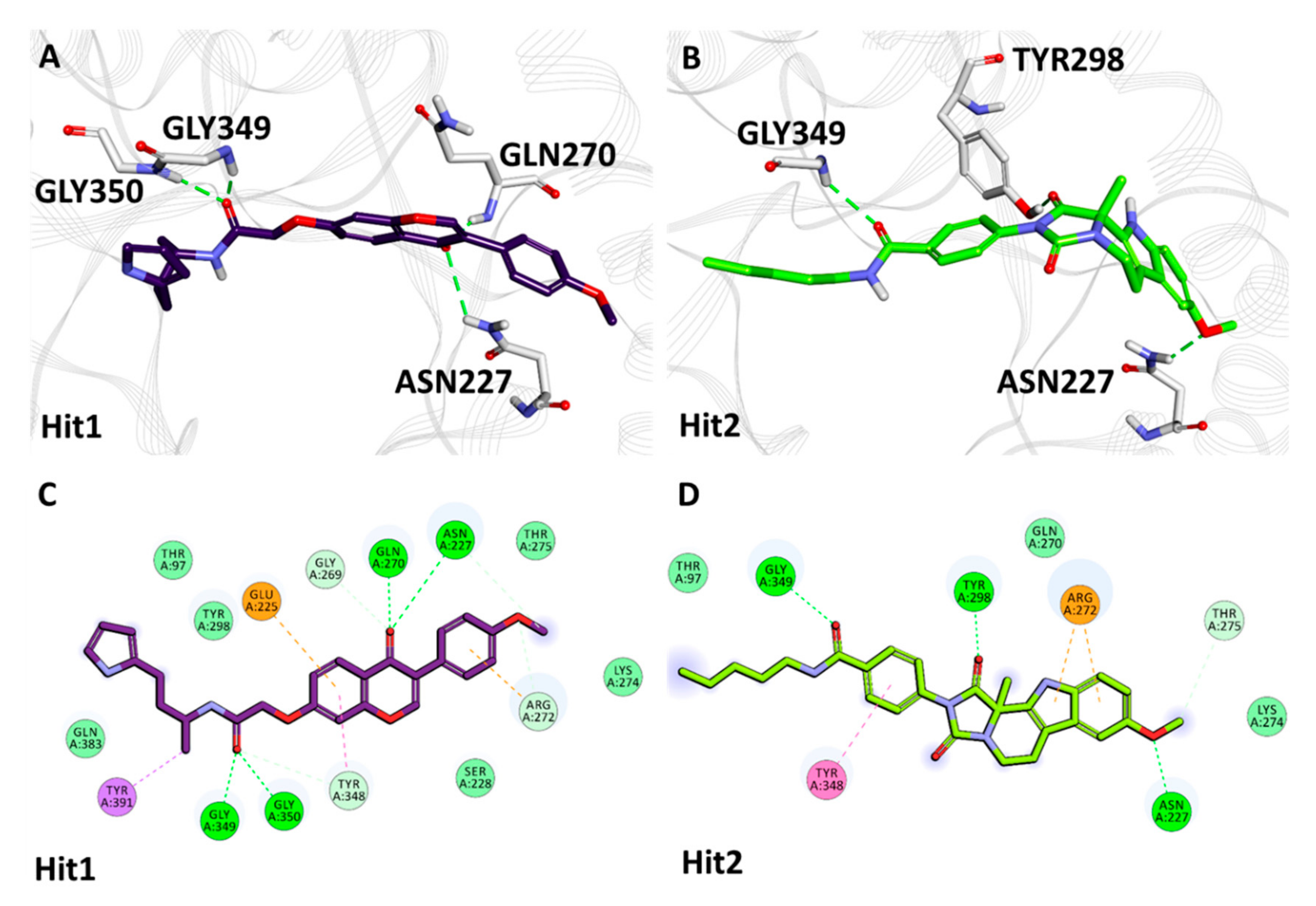 Ijms 22 05311 g005 Ijms 22 05311 g005