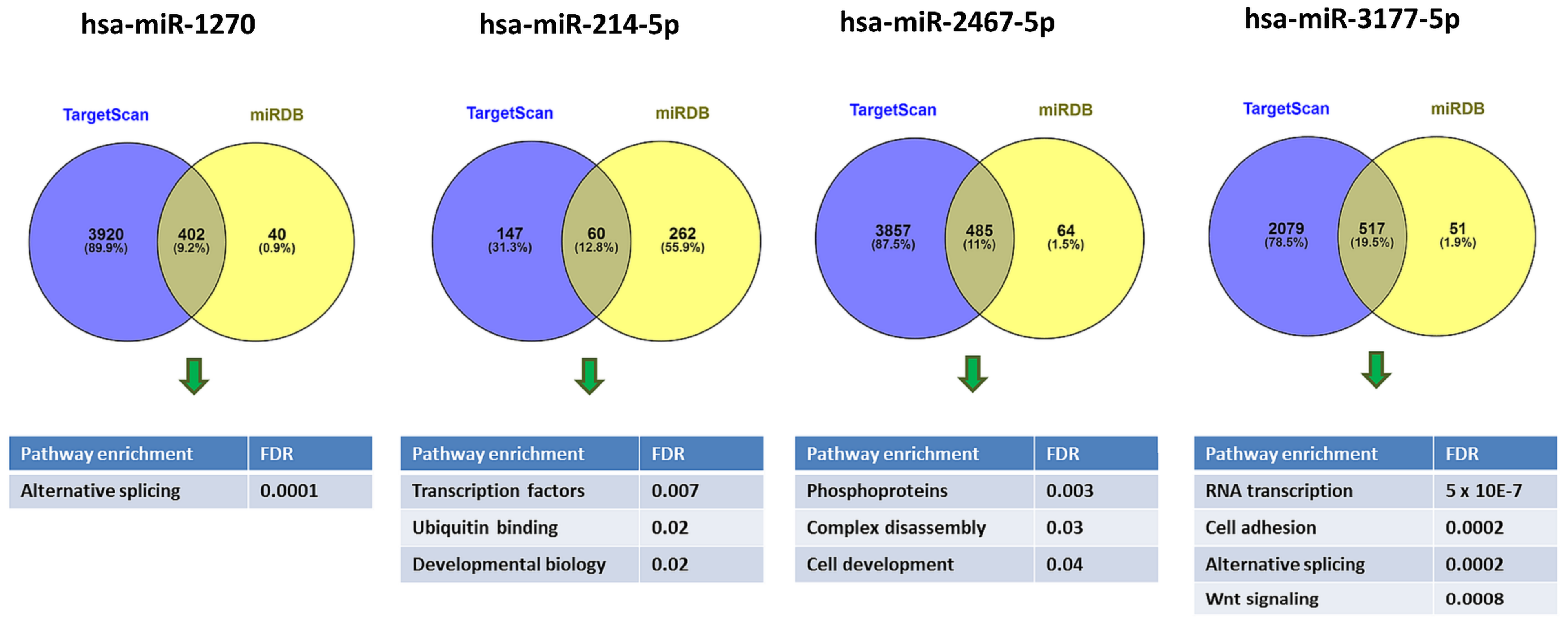 Ijms 22 05320 g006 Ijms 22 05320 g006