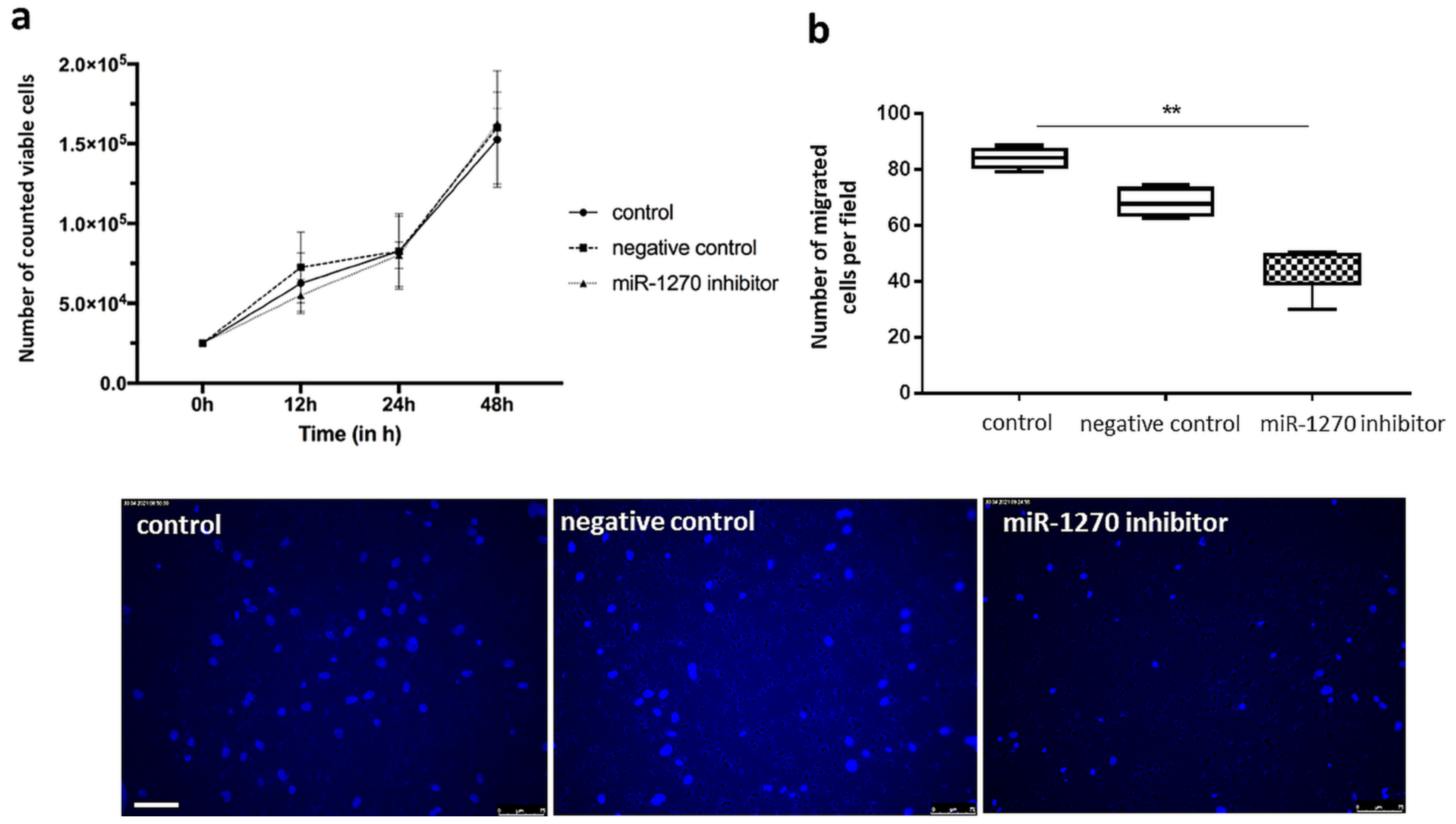 Ijms 22 05320 g008 Ijms 22 05320 g008