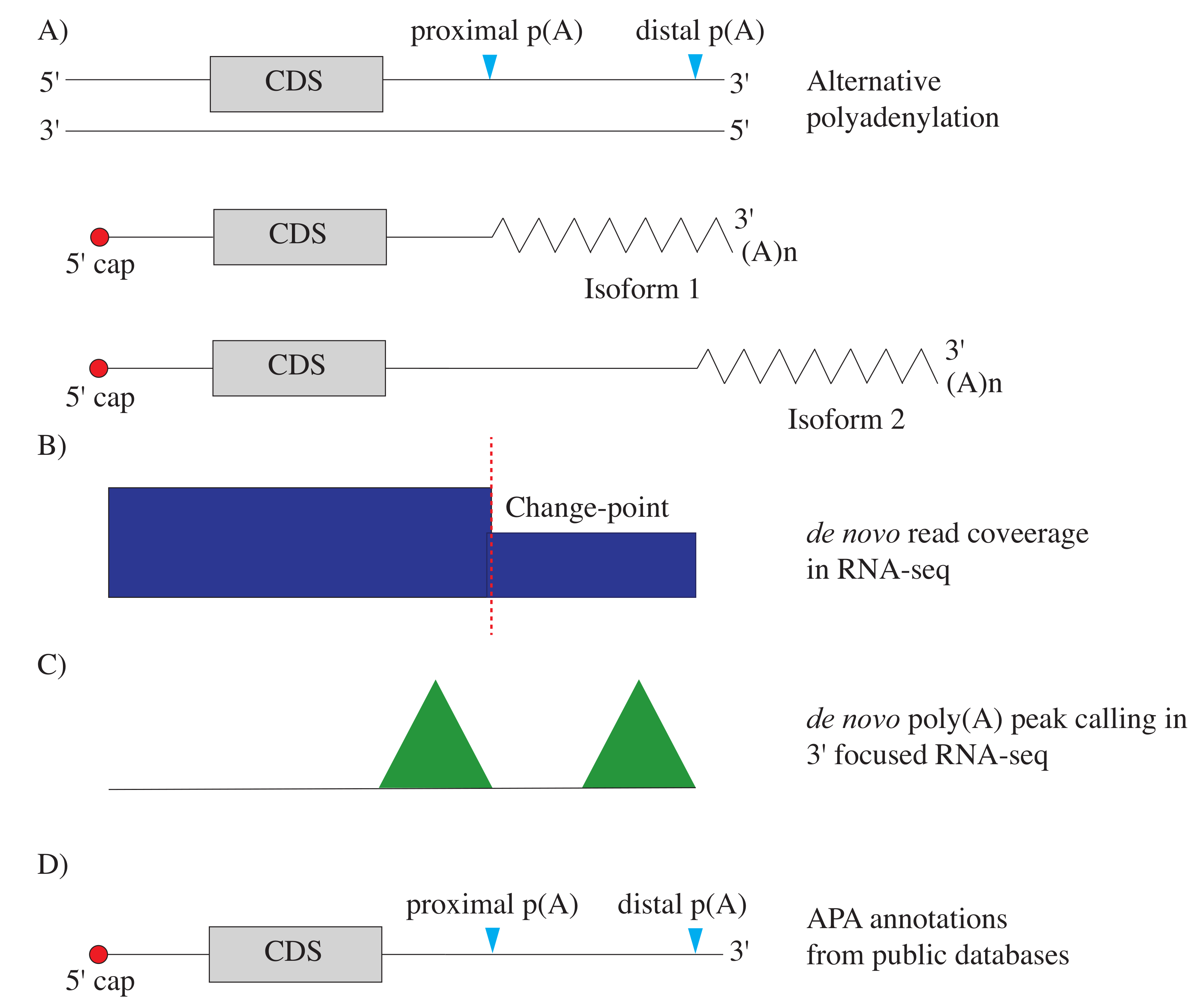 Ijms 22 05322 g003 Ijms 22 05322 g003