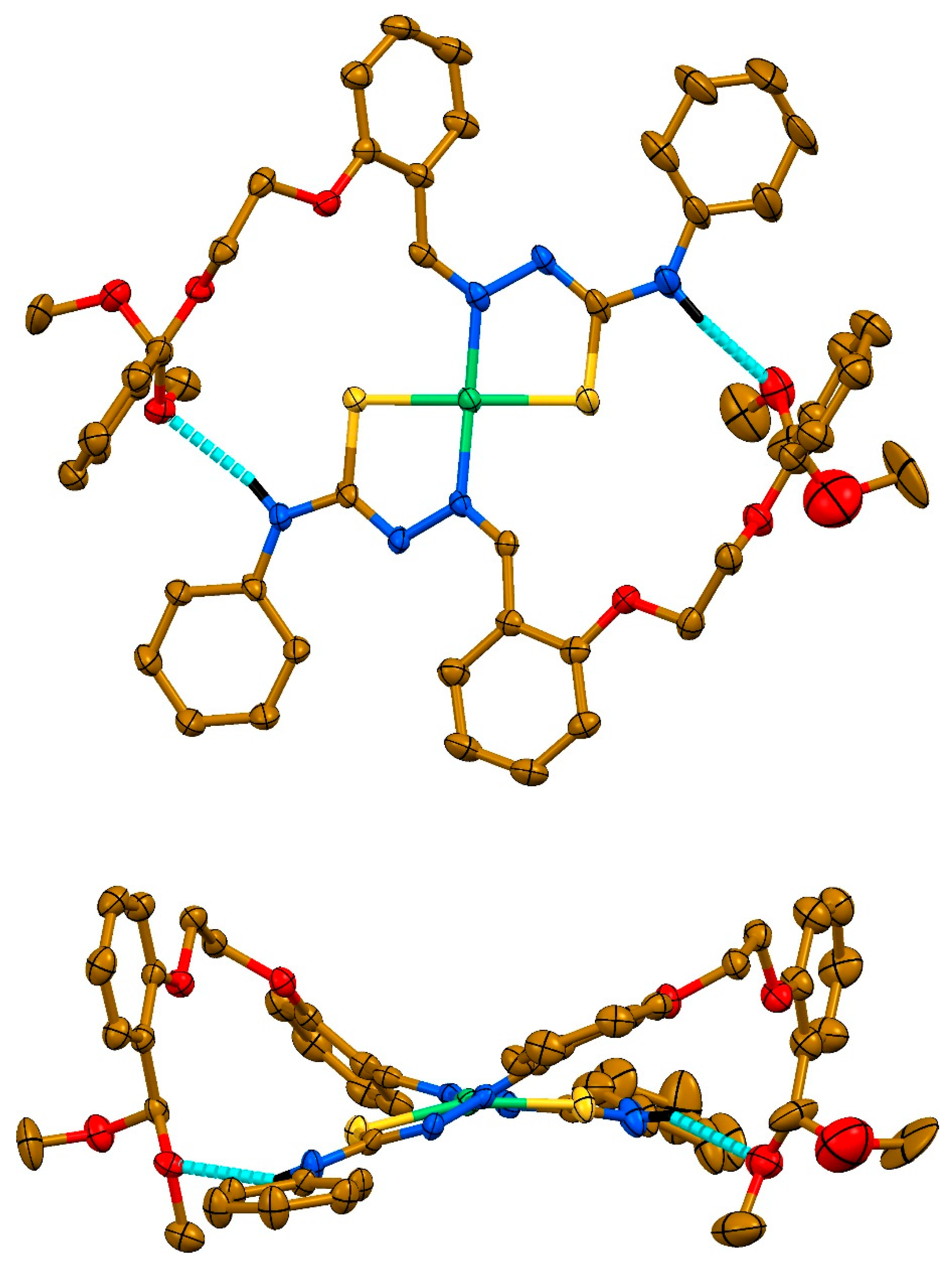 Ijms 22 05337 g004 Ijms 22 05337 g004