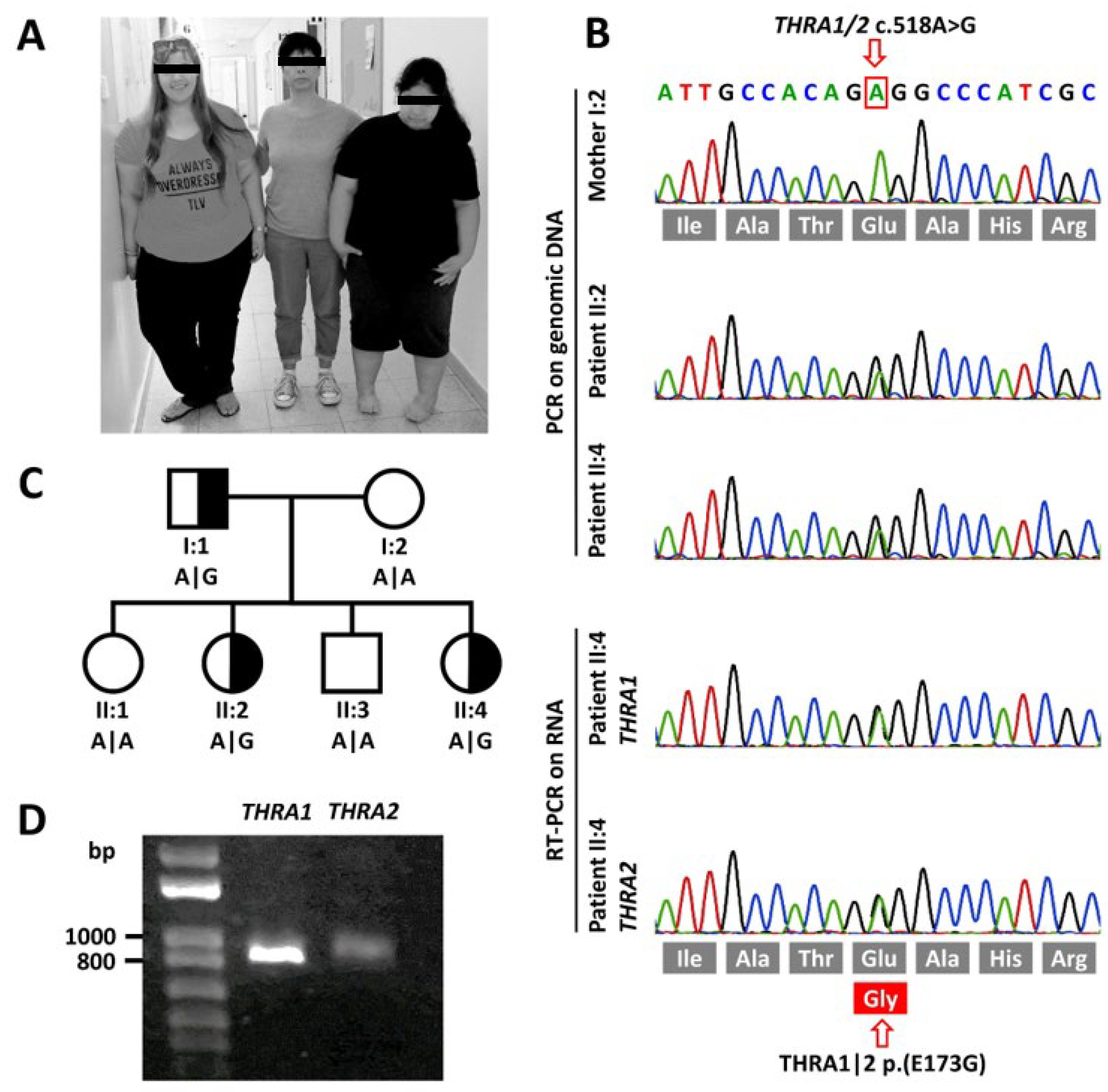 Ijms 22 05338 g001 Ijms 22 05338 g001
