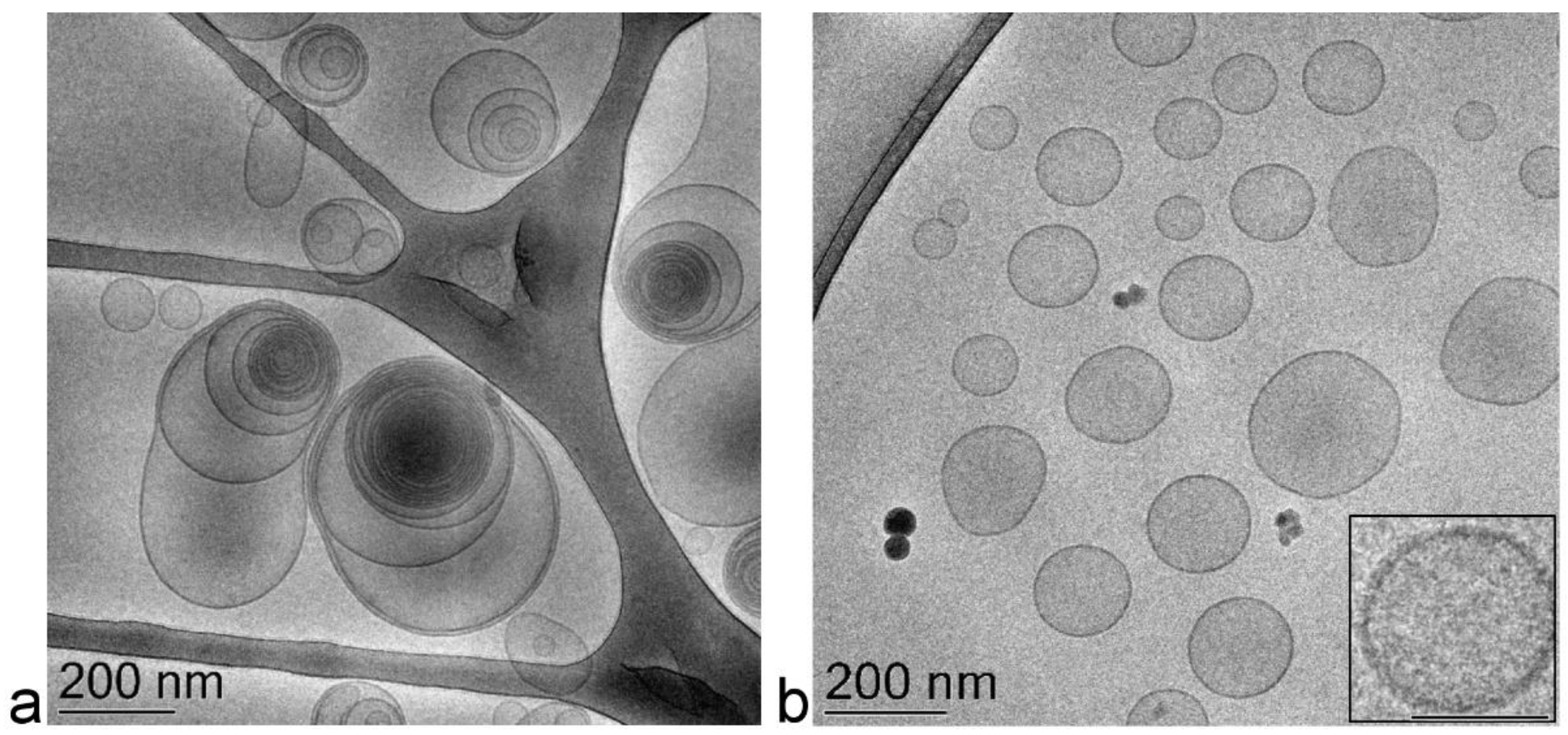 Ijms 22 05341 g002 Ijms 22 05341 g002