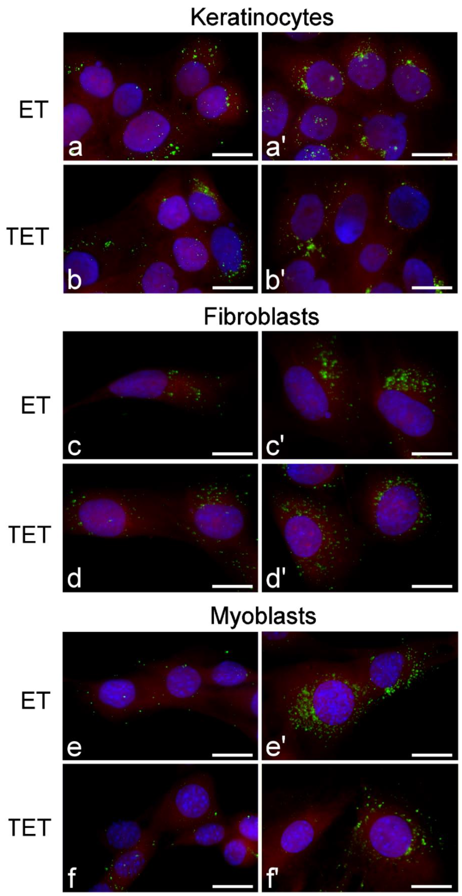 Ijms 22 05341 g005 Ijms 22 05341 g005