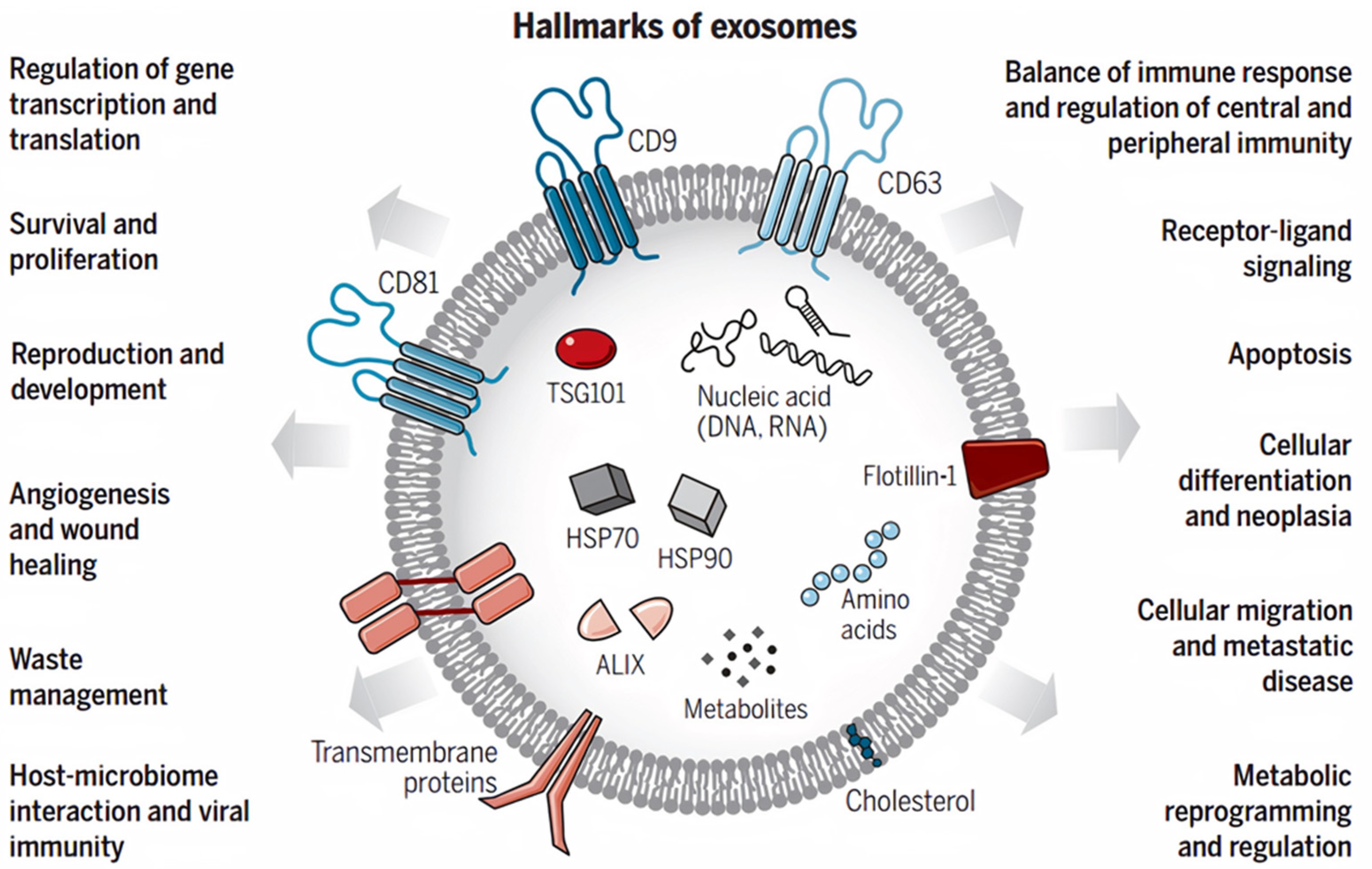 Ijms 22 05346 g003 Ijms 22 05346 g003
