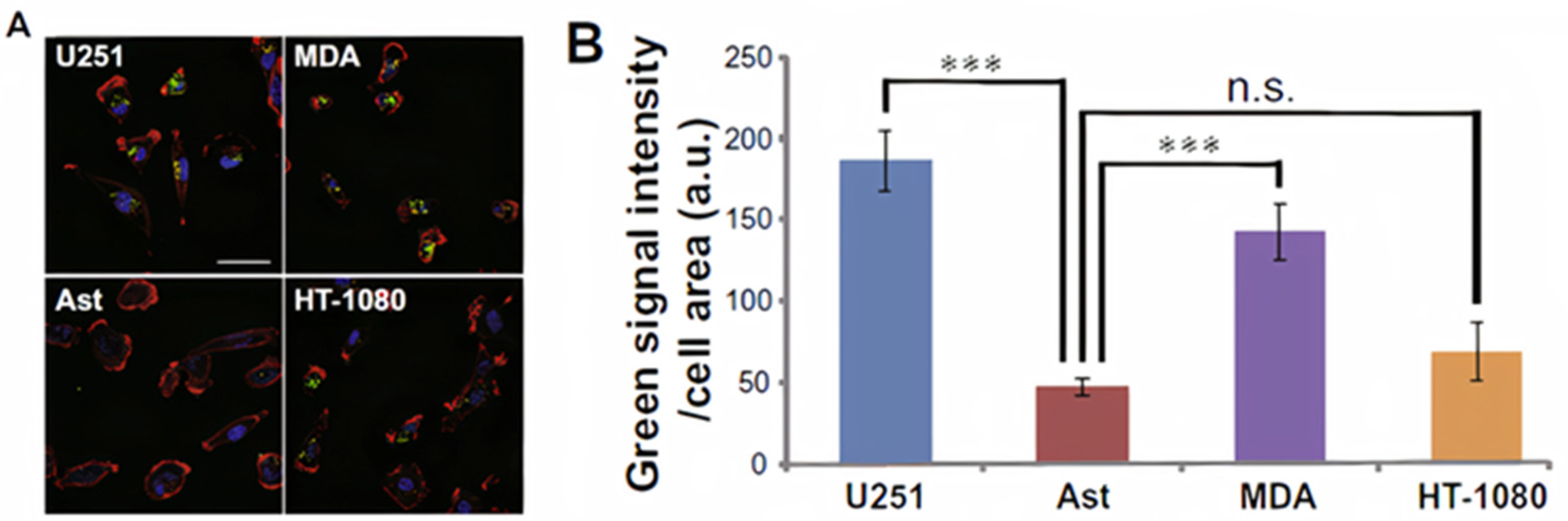 Ijms 22 05346 g005 Ijms 22 05346 g005