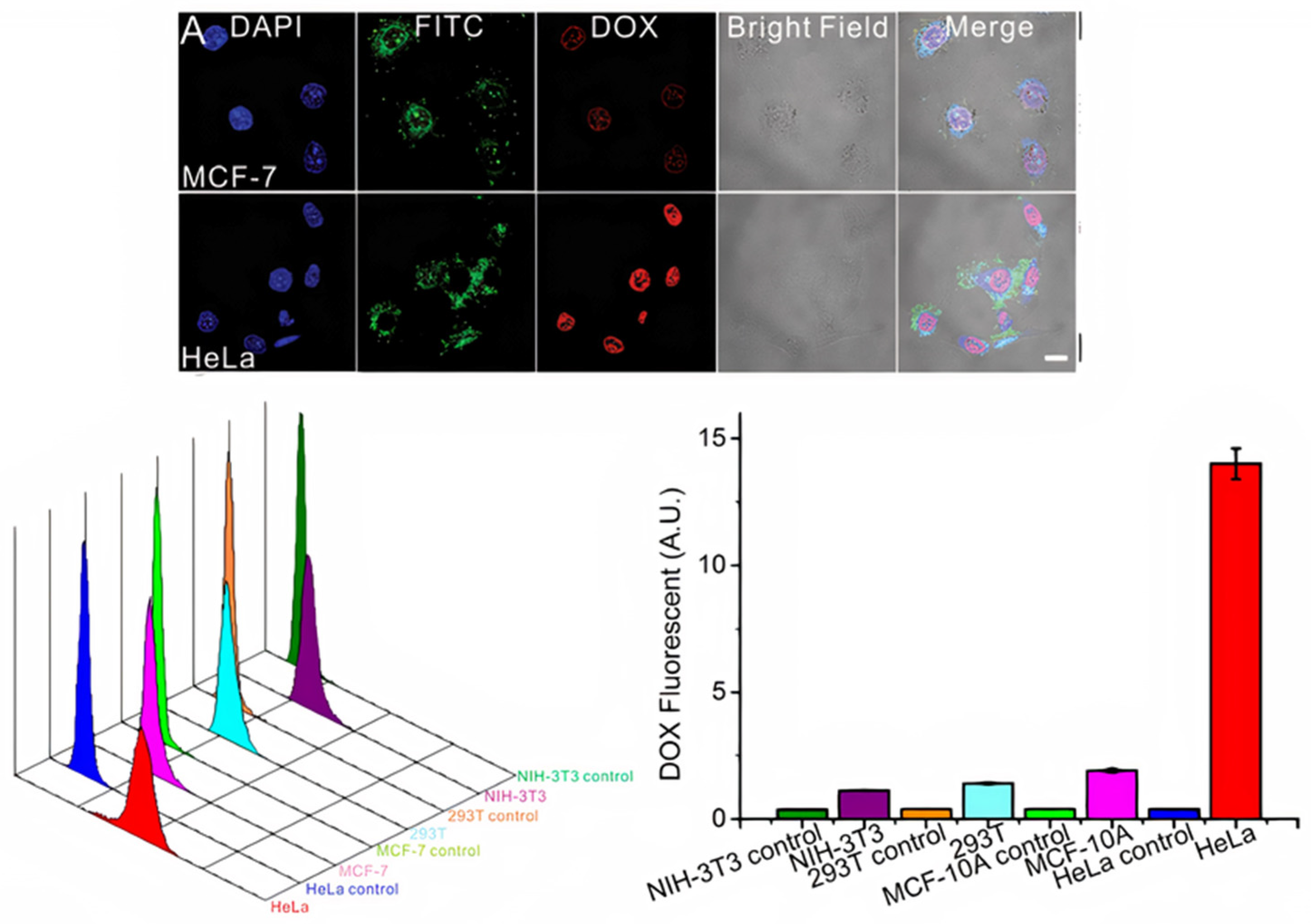 Ijms 22 05346 g007 Ijms 22 05346 g007