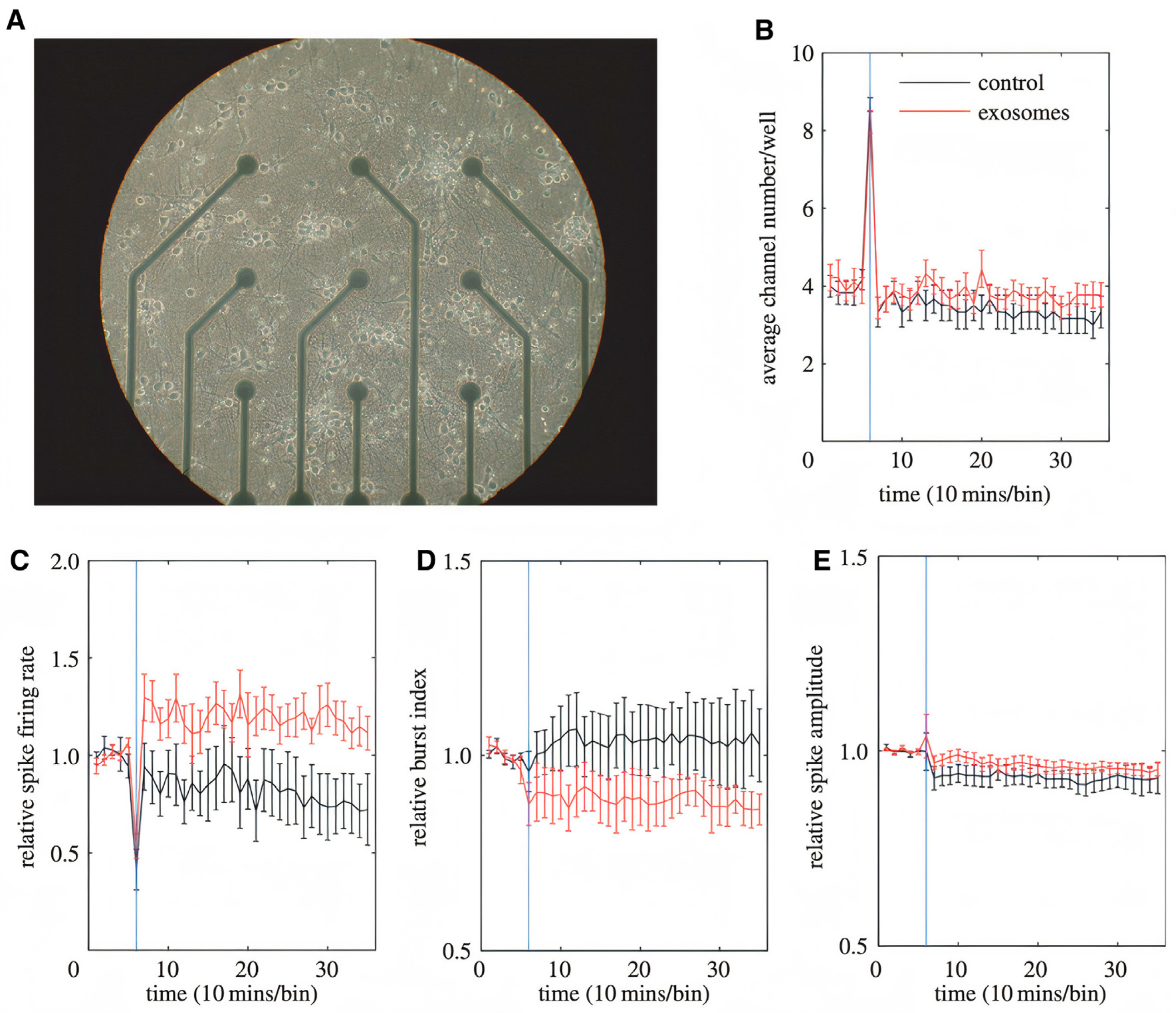 Ijms 22 05346 g009 Ijms 22 05346 g009