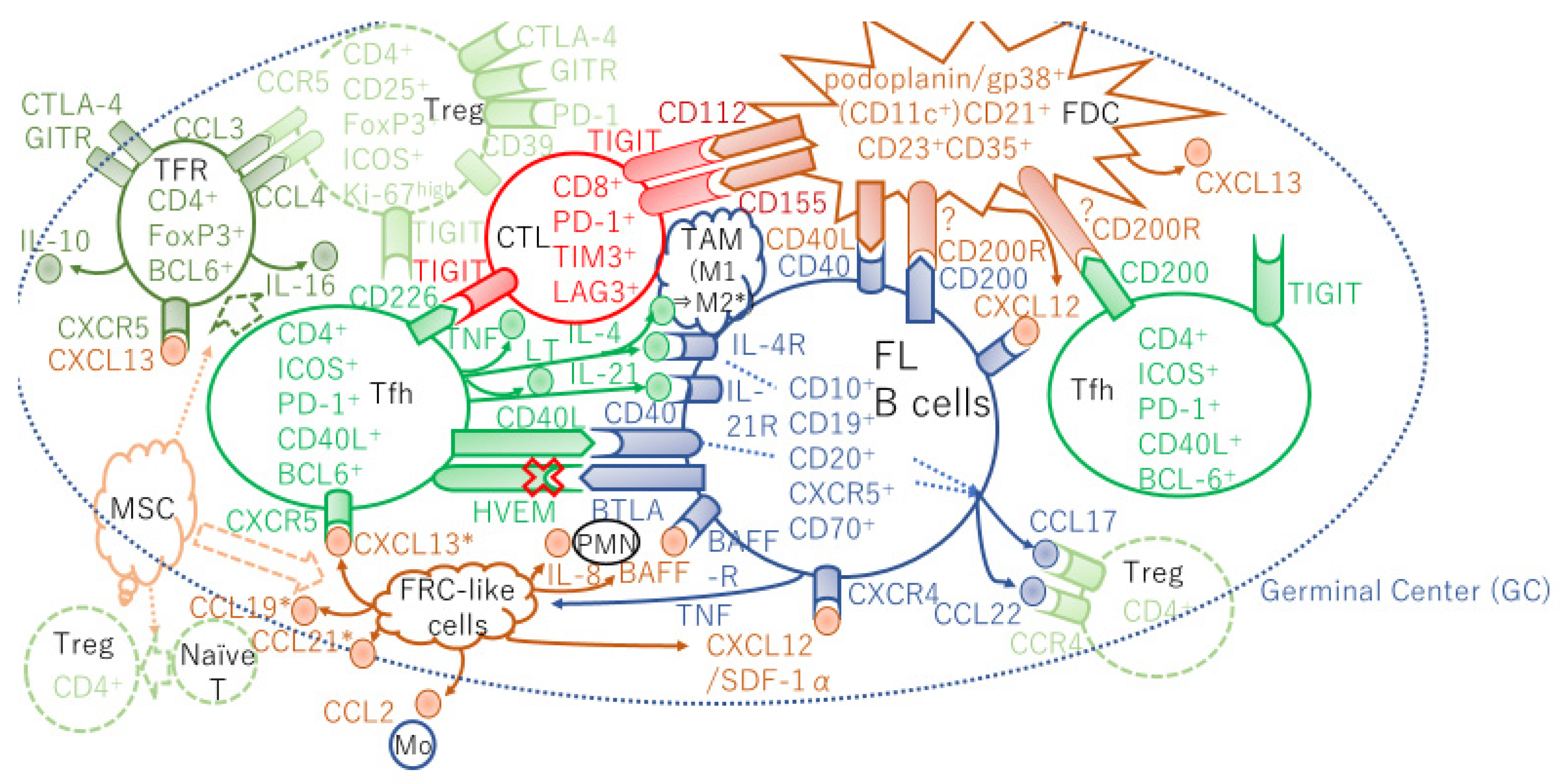 Ijms 22 05352 g001 Ijms 22 05352 g001
