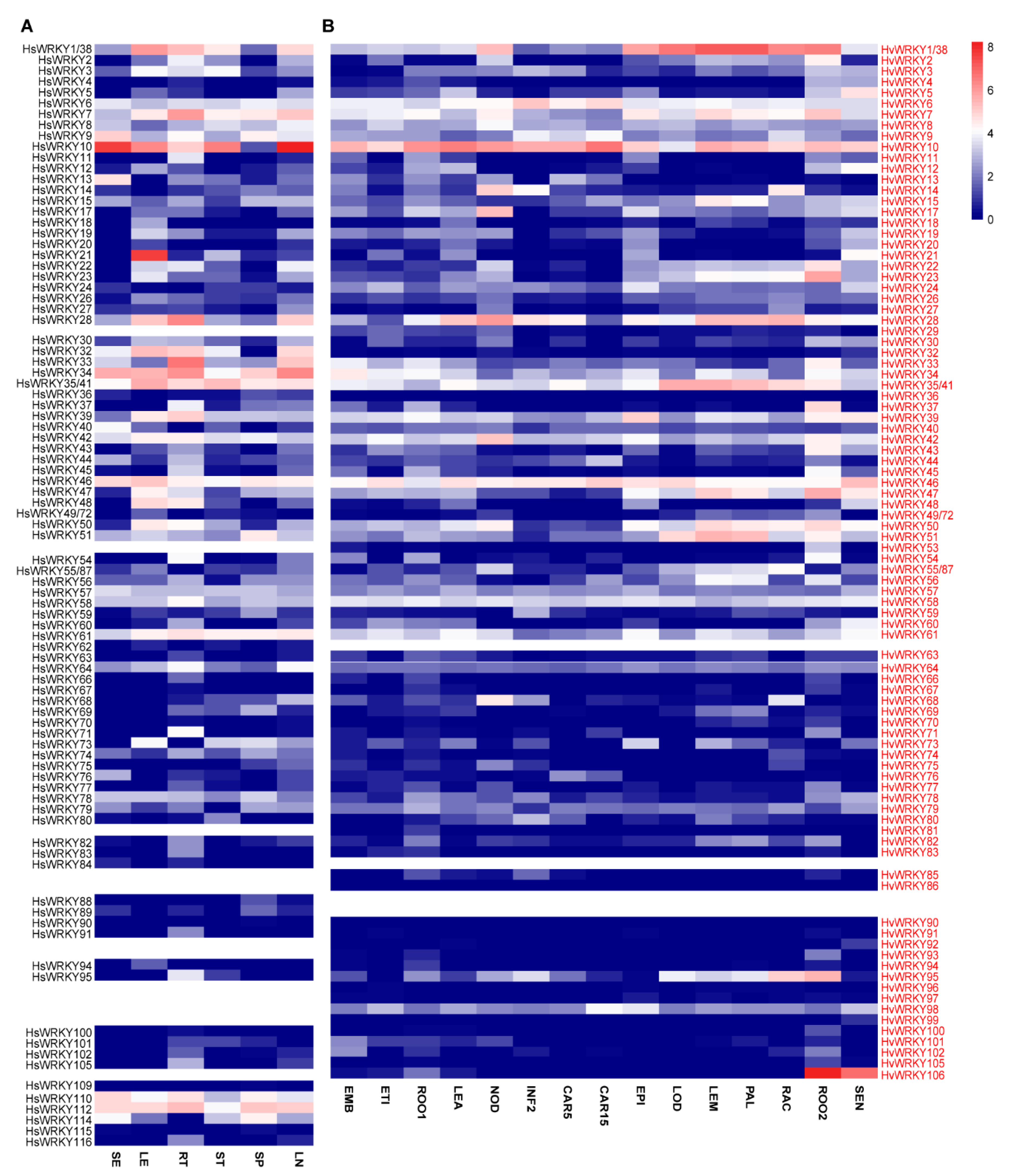 Ijms 22 05354 g002 Ijms 22 05354 g002